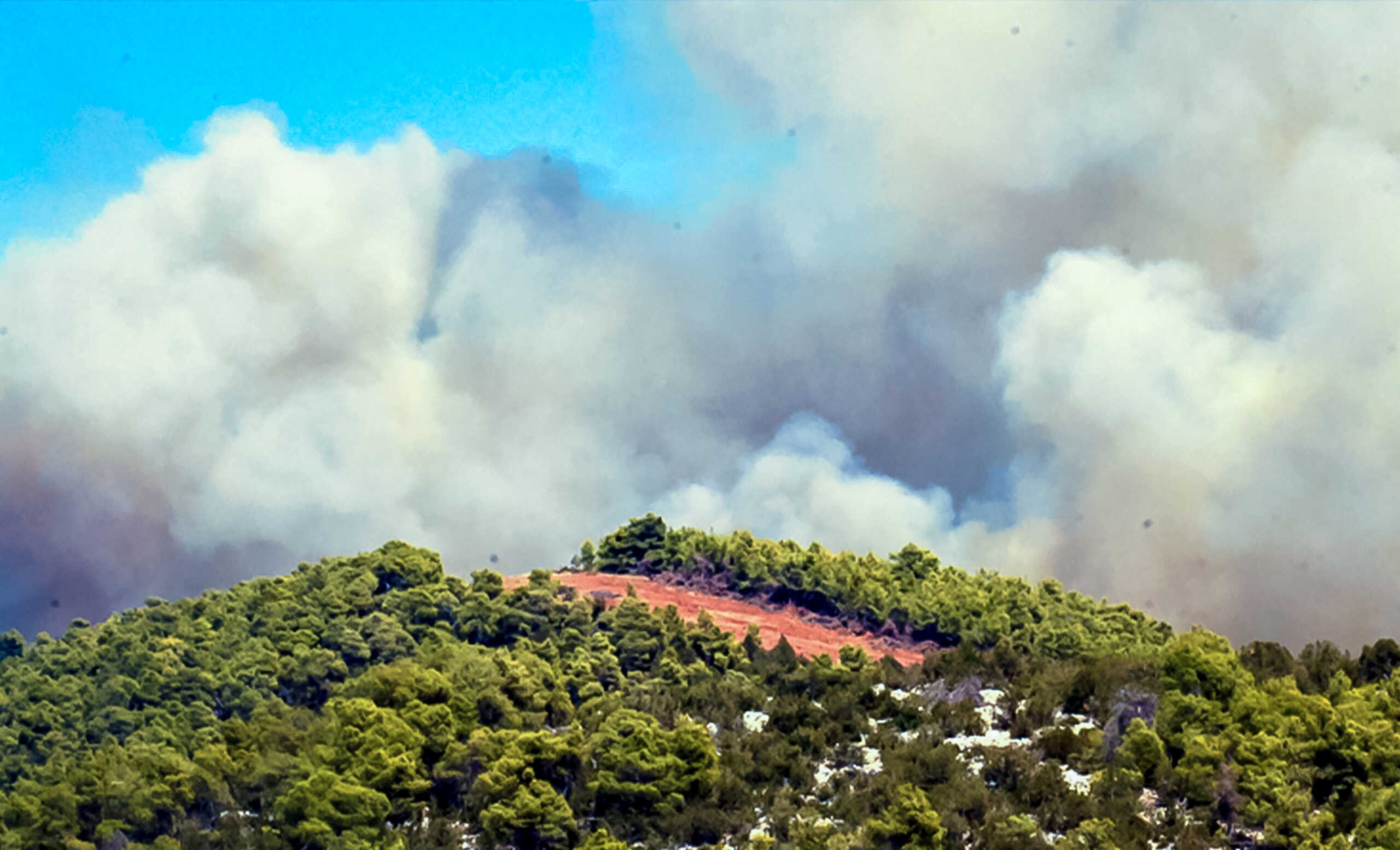 Πυρκαγιά στην κεντρική Εύβοια σε δασική έκταση , στην περιοχή Αφράτι, Τετάρτη 31 Ιουλίου 2024  (eviathema.gr