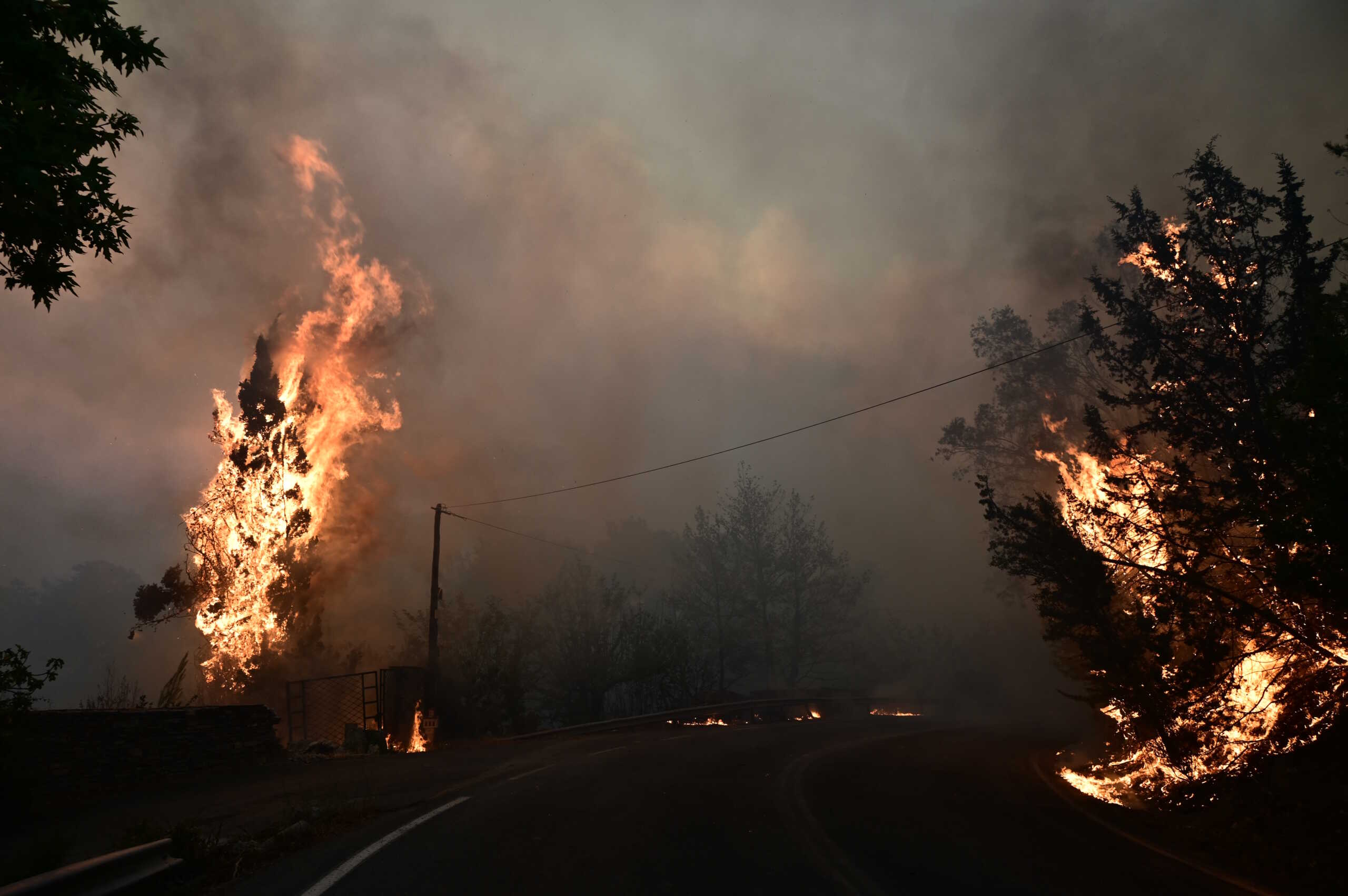 Πυρκαγιά στον Βαρνάβα Αττικής, Κυριακή 11 Αυγούστου 2024 (ΜΙΧΑΛΗΣ ΚΑΡΑΓΙΑΝΝΗΣ