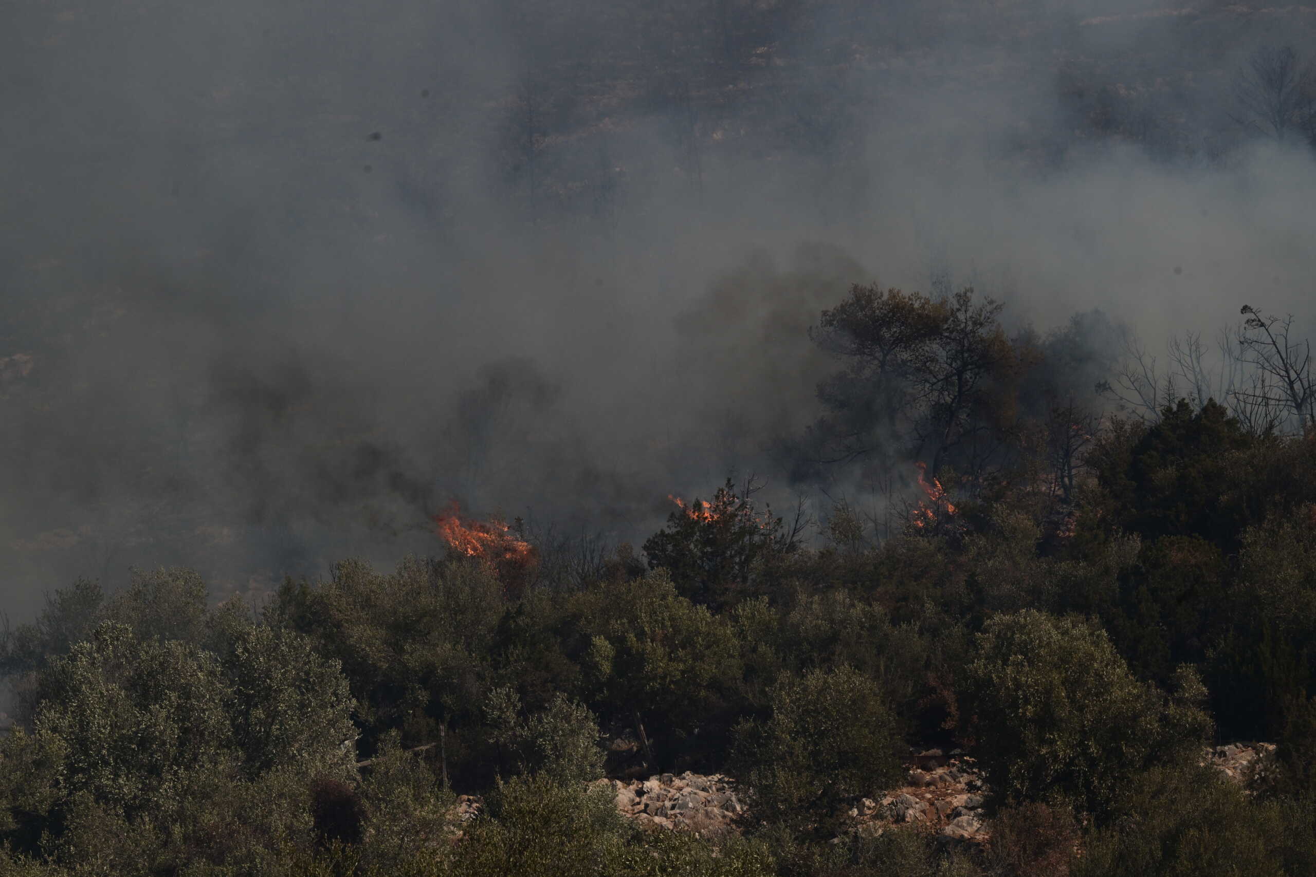Πυρκαγιά στη Βορειοανατολική Αττική. Δευτέρα 12 Αυγούστου 2024  (ΤΑΤΙΑΝΑ ΜΠΟΛΑΡΗ