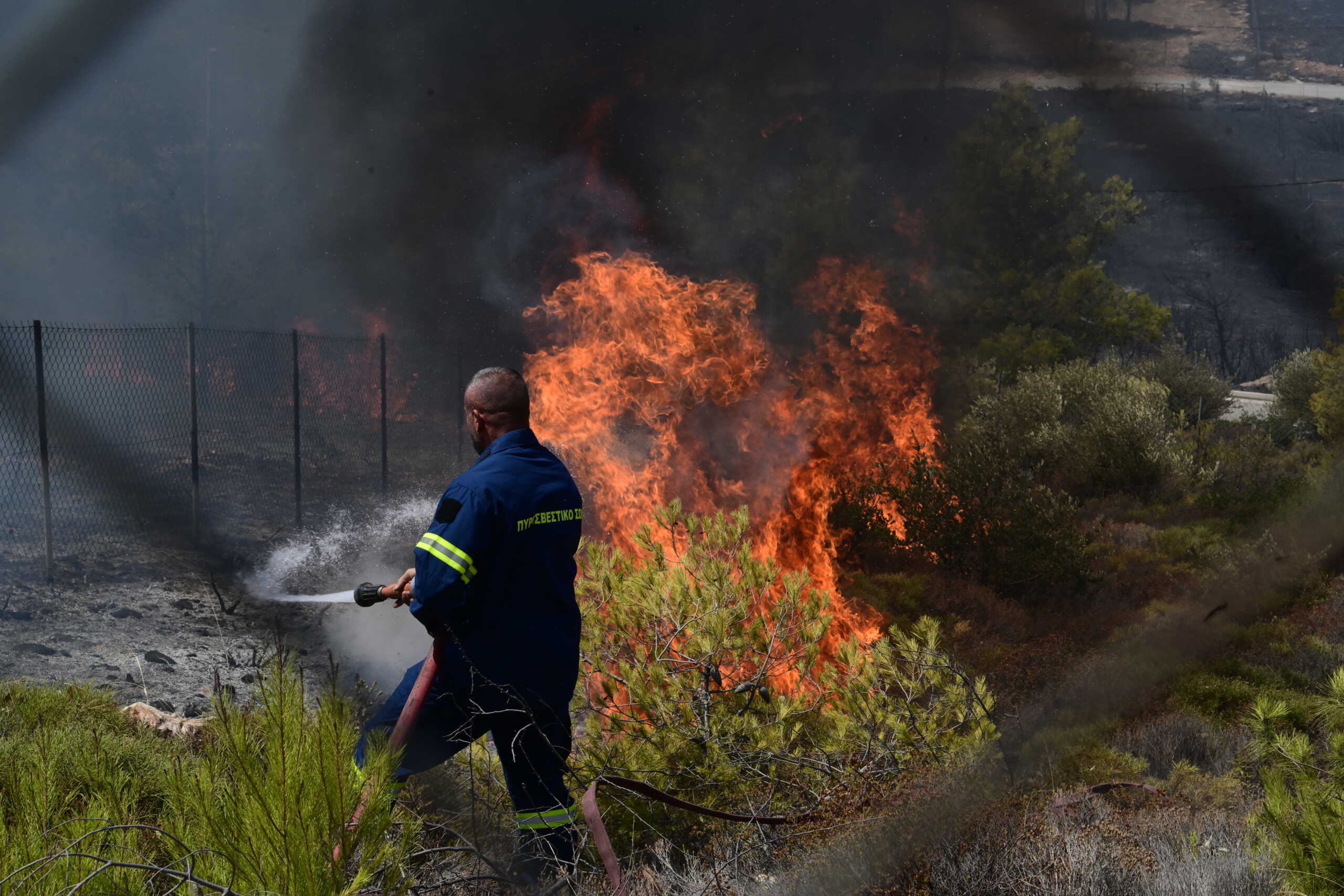 Πυρκαγιά στη Βορειοανατολική Αττική. Δευτέρα 12 Αυγούστου 2024  (ΤΑΤΙΑΝΑ ΜΠΟΛΑΡΗ