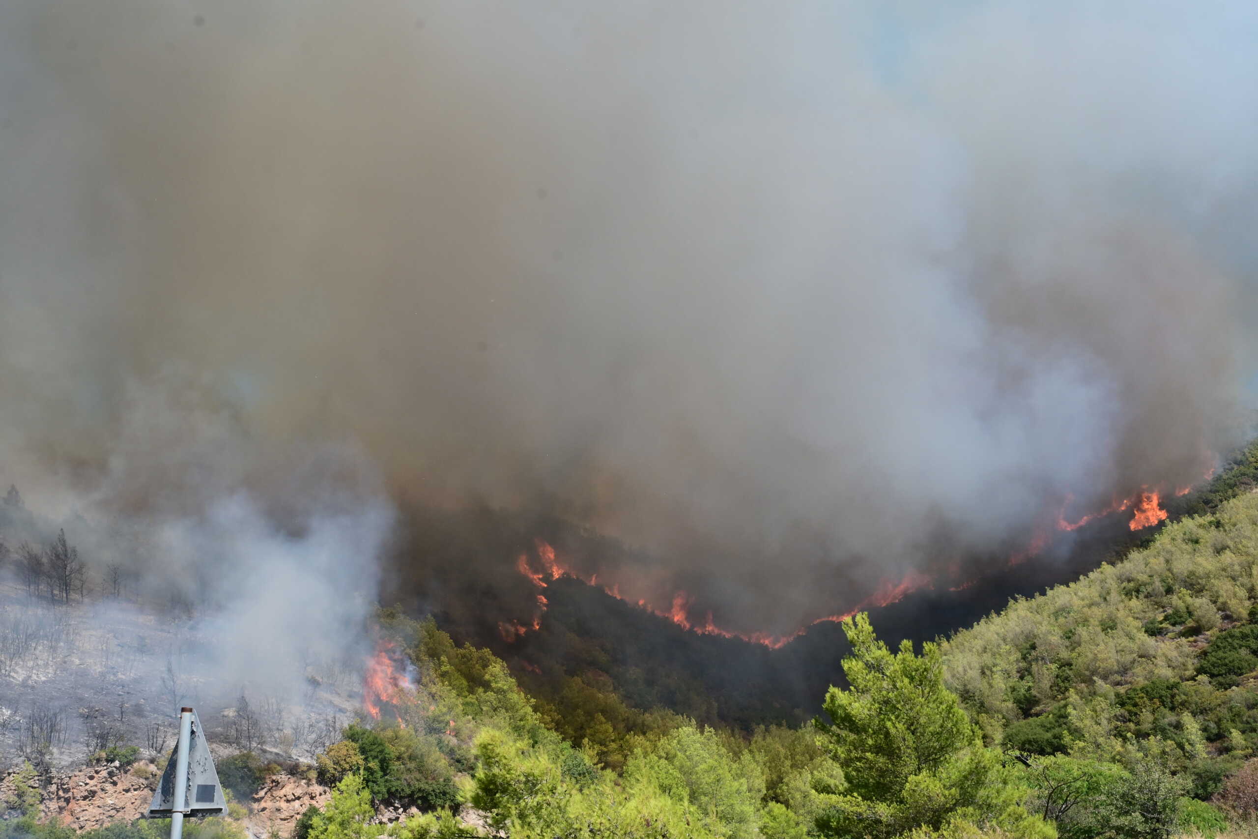 Πυρκαγιά στη Βορειοανατολική Αττική. Δευτέρα 12 Αυγούστου 2024  (ΤΑΤΙΑΝΑ ΜΠΟΛΑΡΗ
