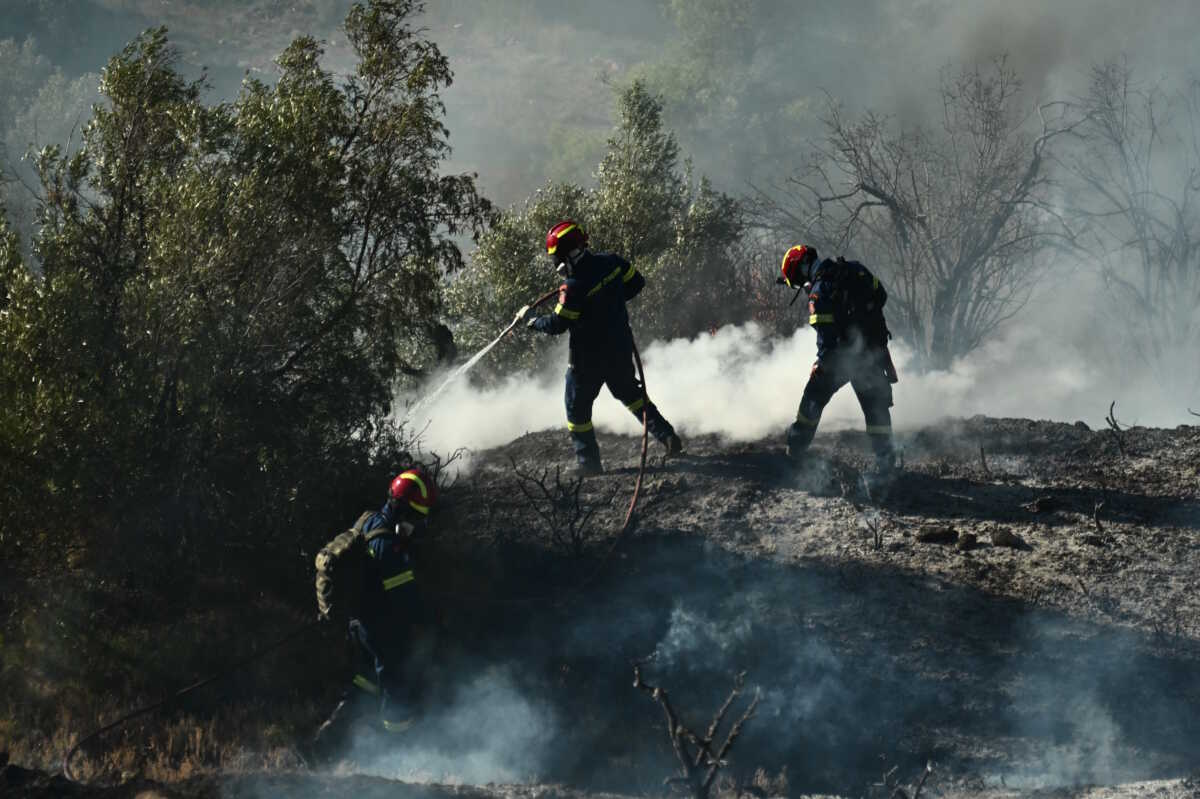 Πυρκαγιά στη Βορειοανατολική Αττική. Δευτέρα 12 Αυγούστου 2024  (ΚΩΣΤΑΣ ΤΖΟΥΜΑΣ