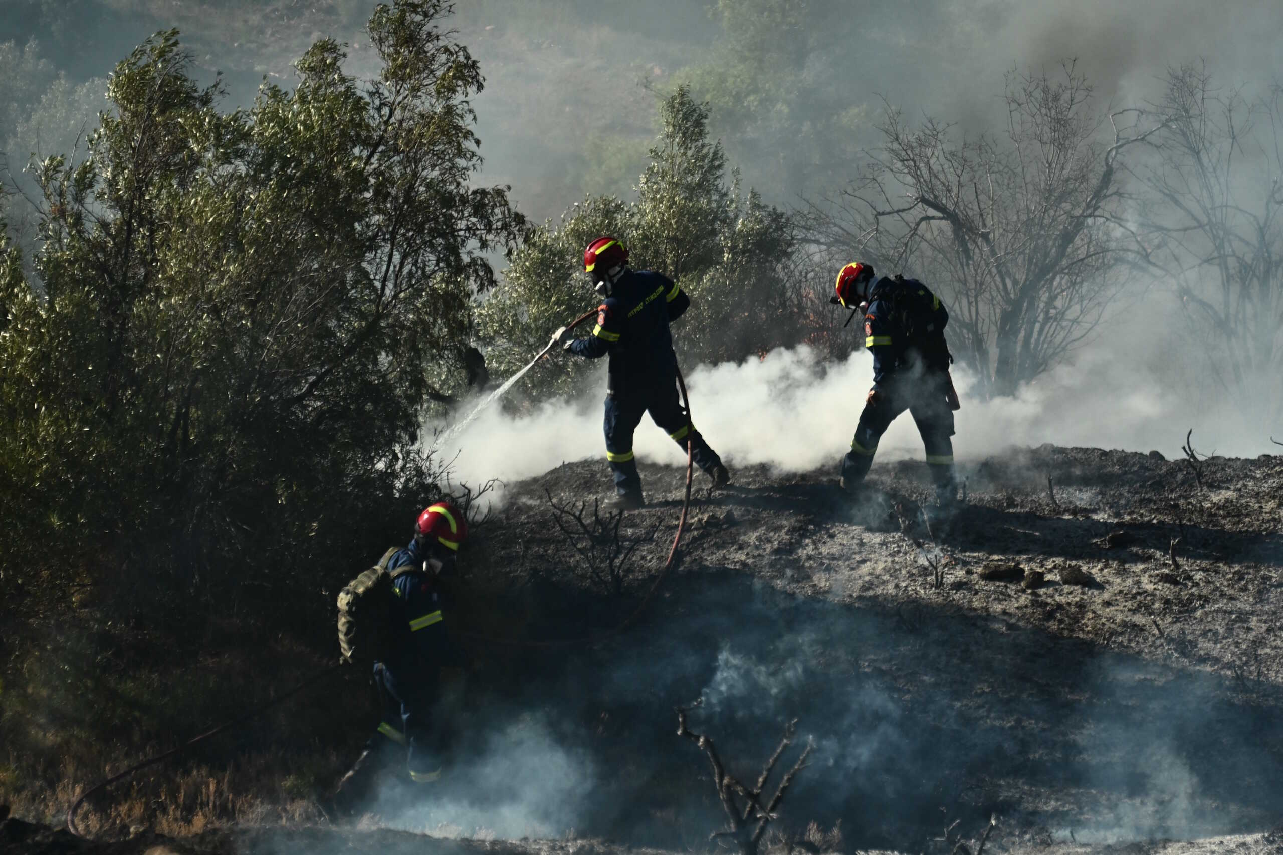 Πυρκαγιά στη Βορειοανατολική Αττική. Δευτέρα 12 Αυγούστου 2024  (ΚΩΣΤΑΣ ΤΖΟΥΜΑΣ