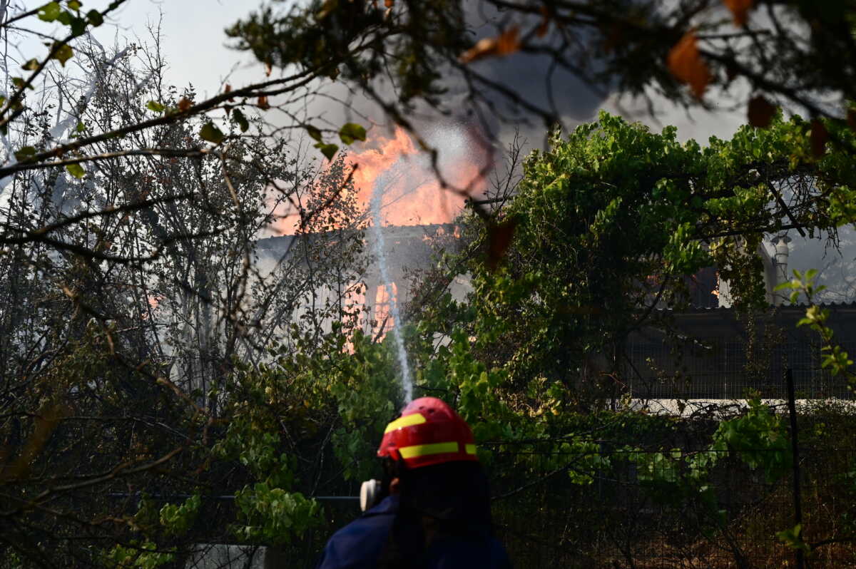 Πυρκαγιά στον Βαρνάβα Αττικής, Κυριακή 11 Αυγούστου 2024 (ΜΙΧΑΛΗΣ ΚΑΡΑΓΙΑΝΝΗΣ