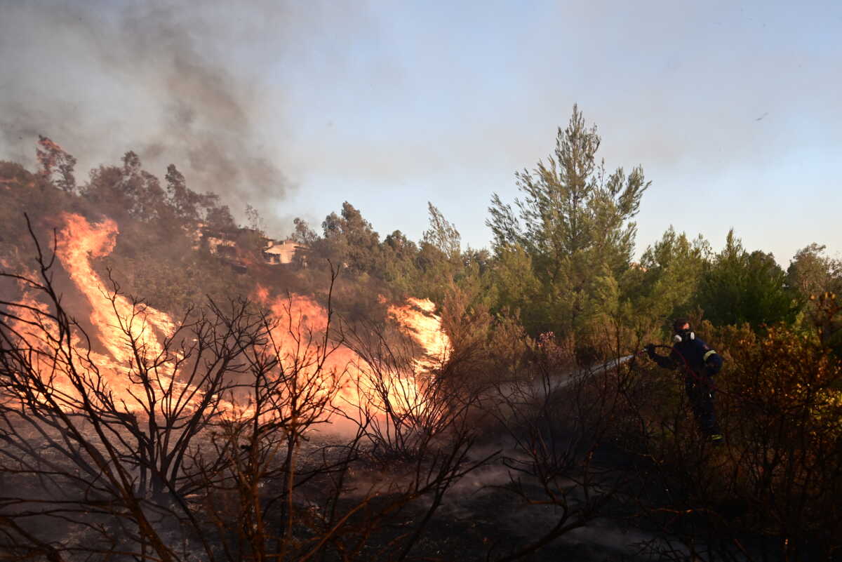 Πυρκαγιά στη Βορειοανατολική Αττική. Δευτέρα 12 Αυγούστου 2024  (ΜΙΧΑΛΗΣ ΚΑΡΑΓΙΑΝΝΗΣ