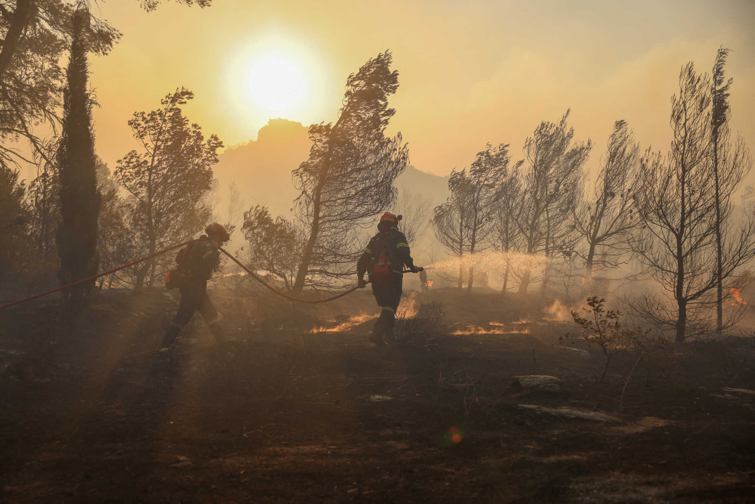 Firefighters try to extinguish a wildfire burning in Penteli, Greece, August 12, 2024. REUTERS