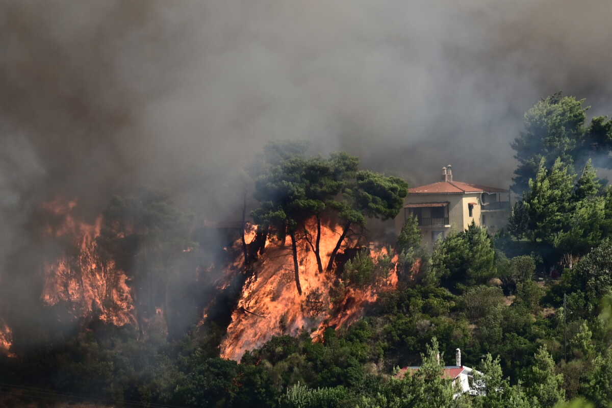 Πυρκαγιά στον Βαρνάβα Αττικής, Κυριακή 11 Αυγούστου 2024 (ΜΙΧΑΛΗΣ ΚΑΡΑΓΙΑΝΝΗΣ