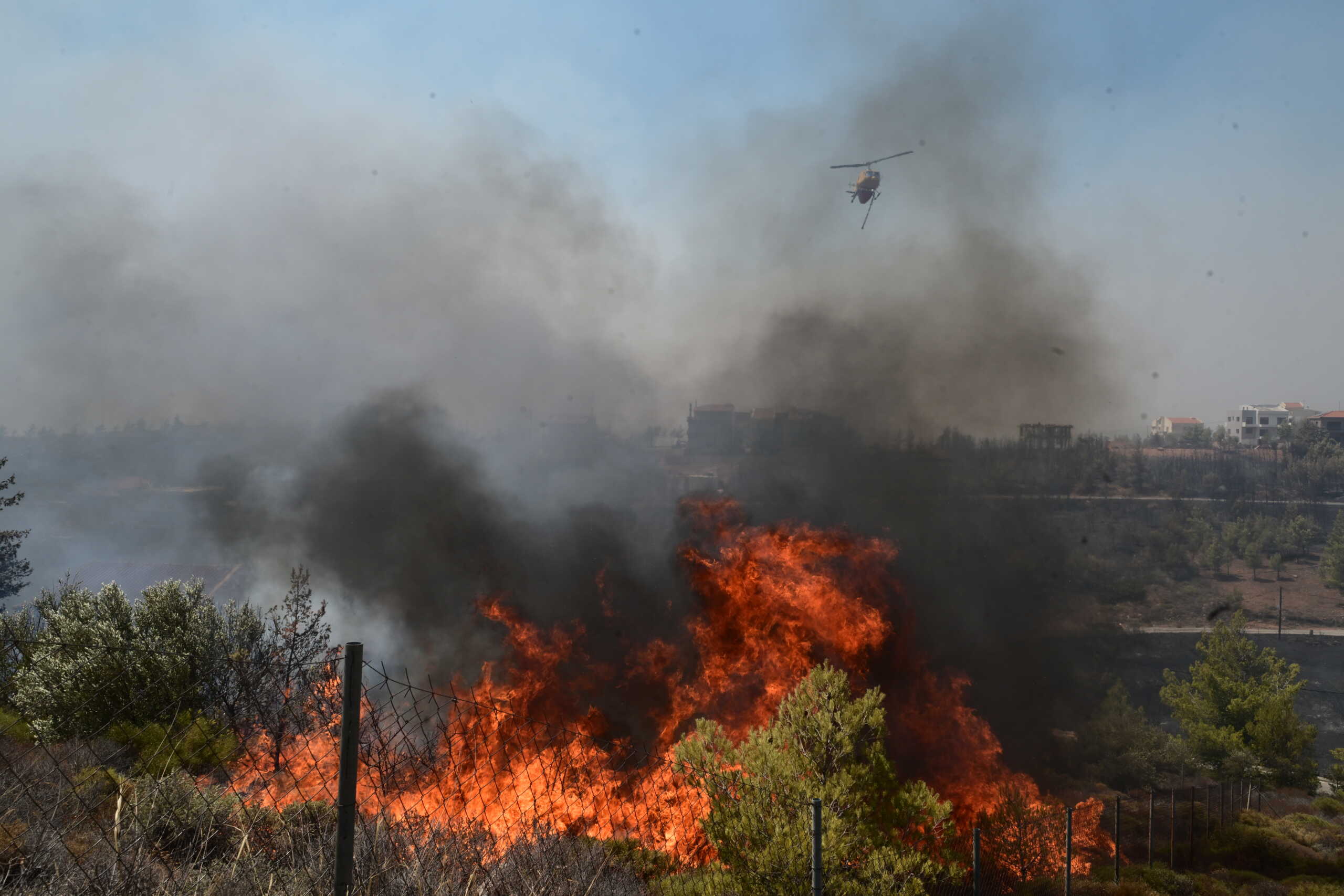 Πυρκαγιά στη Βορειοανατολική Αττική. Δευτέρα 12 Αυγούστου 2024  (ΤΑΤΙΑΝΑ ΜΠΟΛΑΡΗ