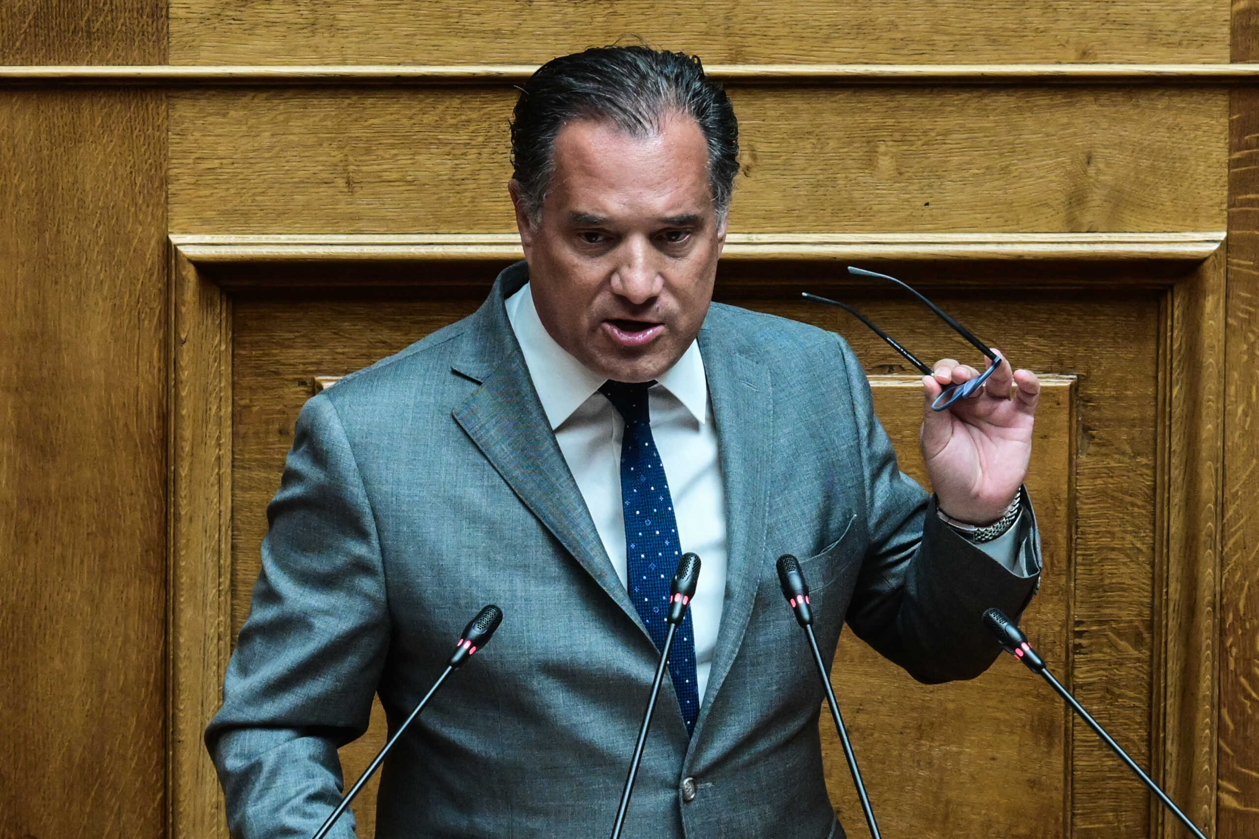 Δεύτερη ημέρα συζήτησης και ψήφιση επί της αρχής, των άρθρων και του συνόλου του σχεδίου νόμου "Ολοκλήρωση της ψυχιατρικής μεταρρύθμισης", Τρίτη 30 Ιουλίου 2024. 
(ΤΑΤΙΑΝΑ ΜΠΟΛΑΡΗ