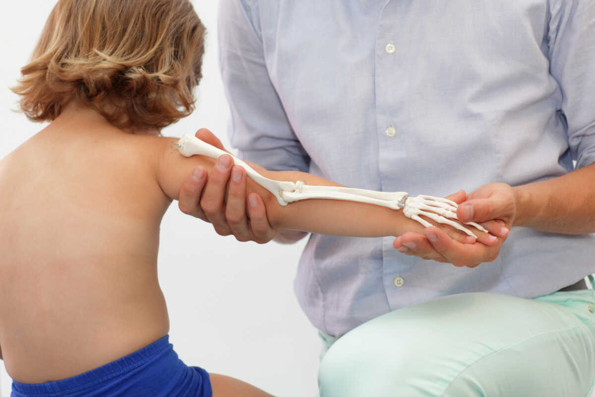 Presentation of child’s upper limb skeletal system - anatomy lesson