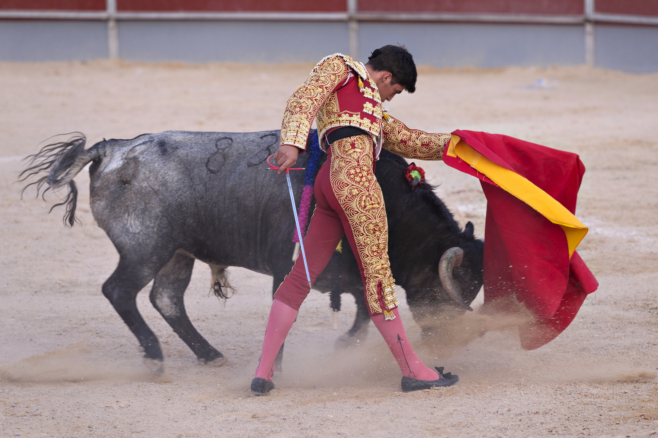 Bullfighter in a bullring