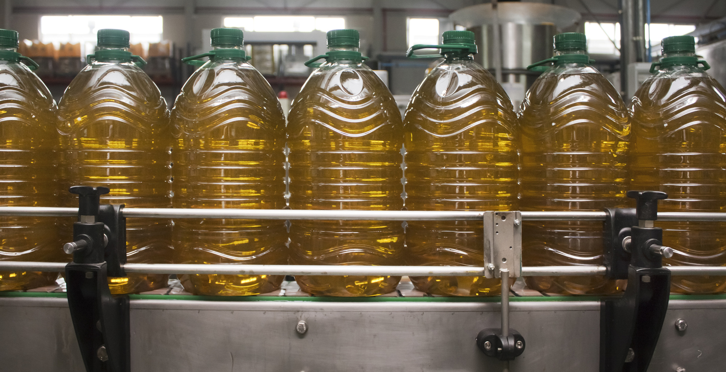 Bottling plant, row of large plastic bottles on a conveyor belt filled with gold colored olive cooking oil.