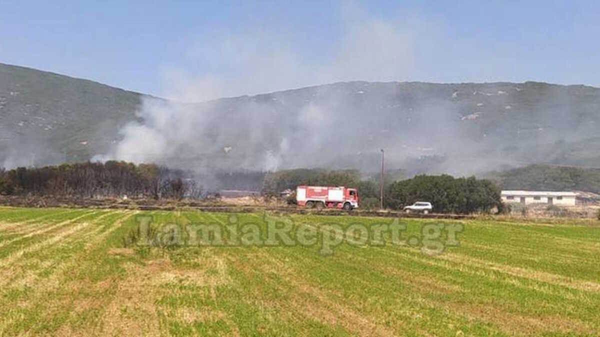 Φωτιά στη Λαμία: Σκληρή μάχη για να μην φτάσει η φωτιά σε κλειστό στρατόπεδο – Τραυματίστηκε πυροσβέστης
