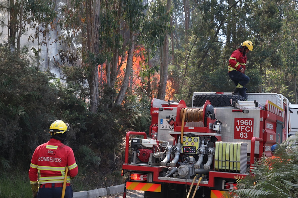 epa11554215 Firefighters try to extinguish a fire in Madeira Island, Portugal, 18 August 2024. The fire, which started on 14 August in the municipality of Ribeira Brava and spread the following day to the neighboring municipality of Camara de Lobos, is now active on three fronts and is being fought by 120 operational, 43 vehicles and one aircraft, with the region having the support of 76 members of the joint force of the National Emergency and Civil Protection Authority.  EPA