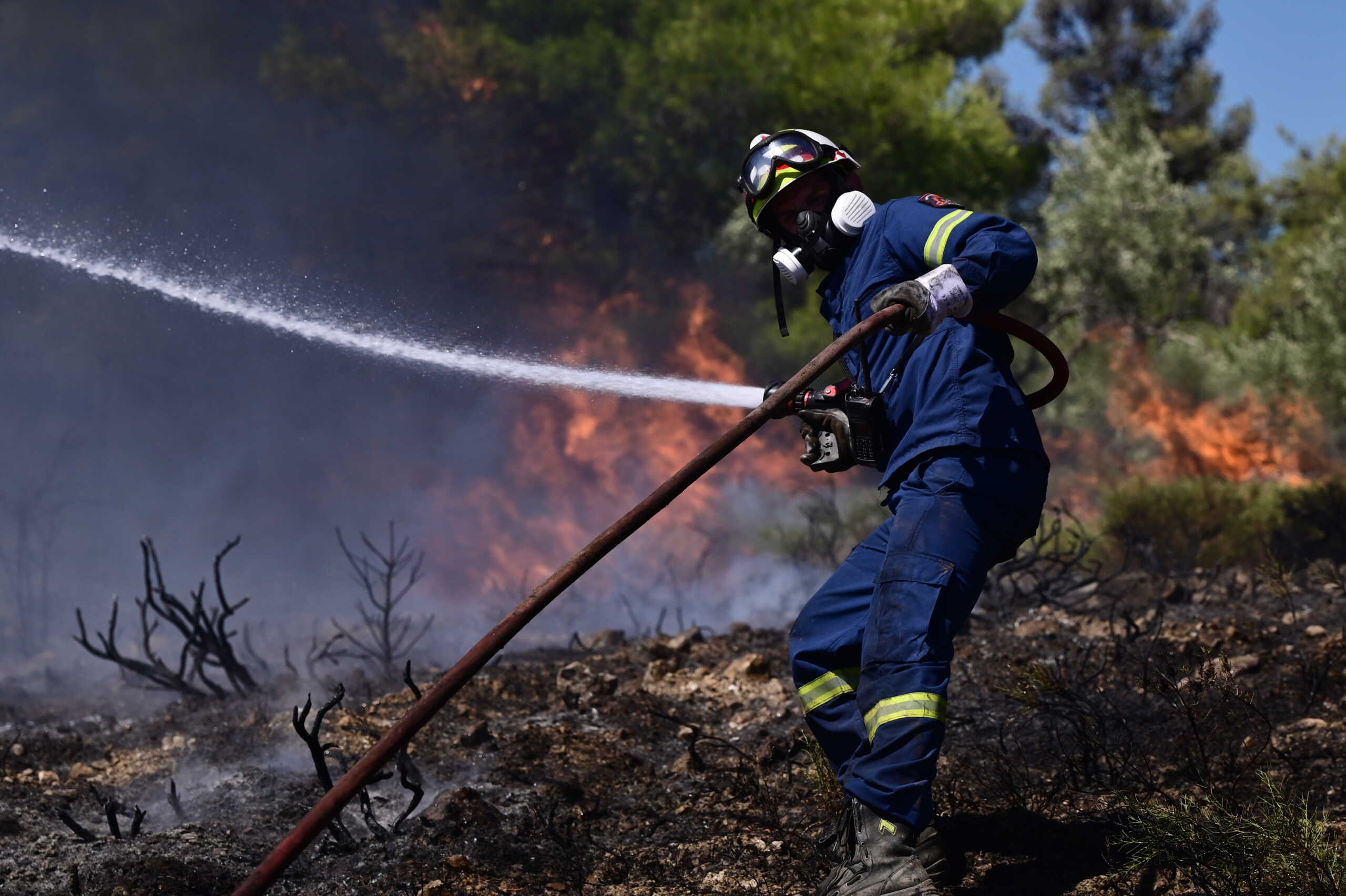Πυρκαγιά στη Βορειοανατολική Αττική. Δευτέρα 12 Αυγούστου 2024  (ΜΙΧΑΛΗΣ ΚΑΡΑΓΙΑΝΝΗΣ