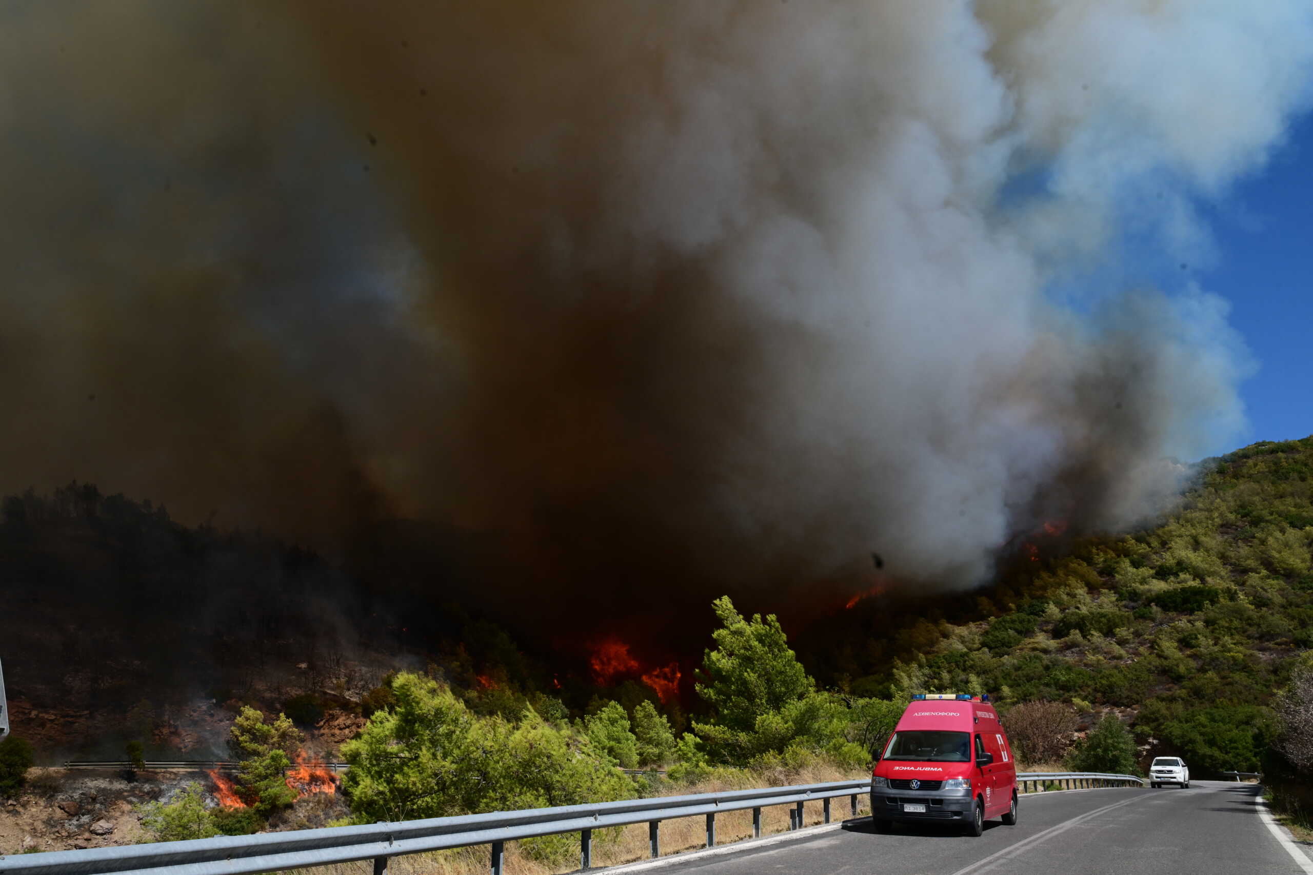Πυρκαγιά στη Βορειοανατολική Αττική. Δευτέρα 12 Αυγούστου 2024  (ΤΑΤΙΑΝΑ ΜΠΟΛΑΡΗ