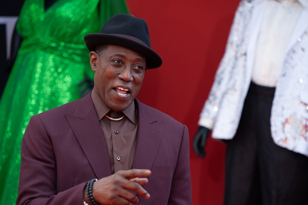 epa07878426 US actor and director Wesley Snipes poses on the red carpet during the premiere of the Netflix film Dolemite Is My Name at the Regency Village Theatre in Los Angeles, California, USA, 28 September 2019.  EPA