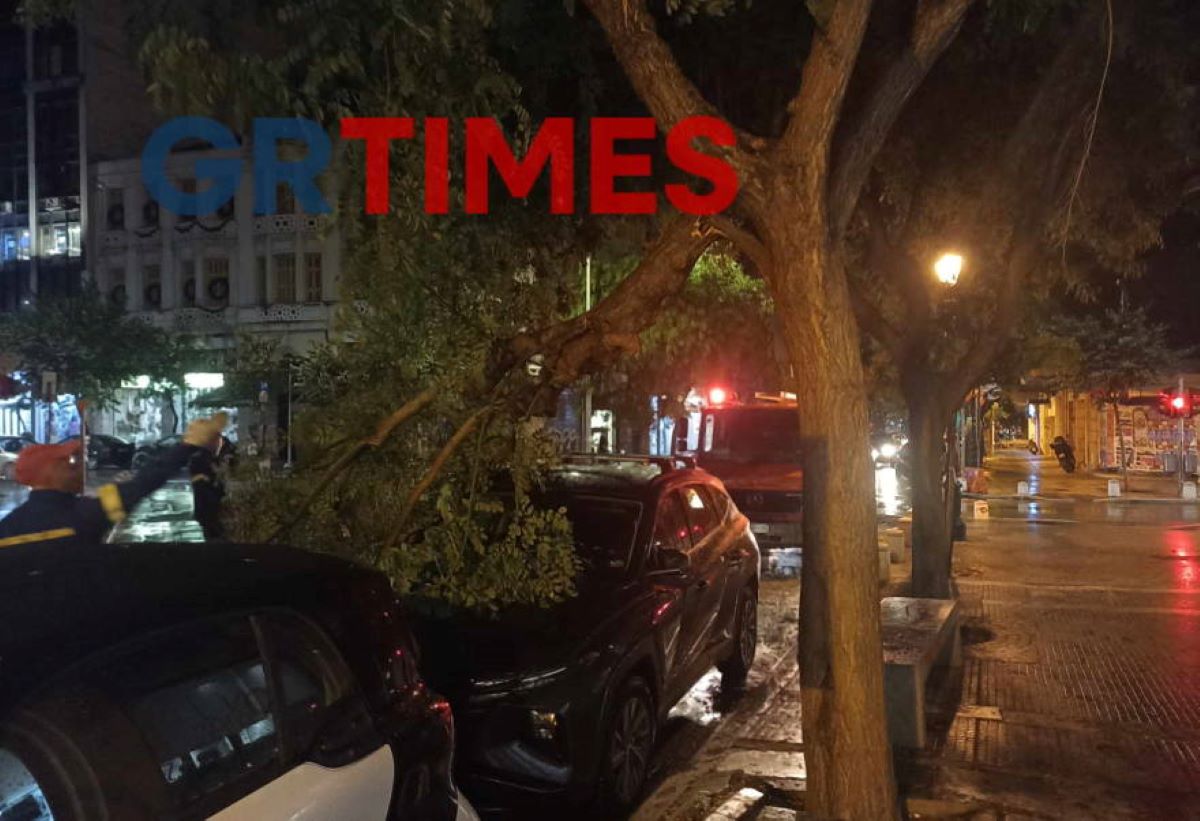 Θεσσαλονίκη: Η κακοκαιρία χτύπησε το κέντρο της συμπρωτεύουσας – Το μπουρίνι έριξε δέντρα