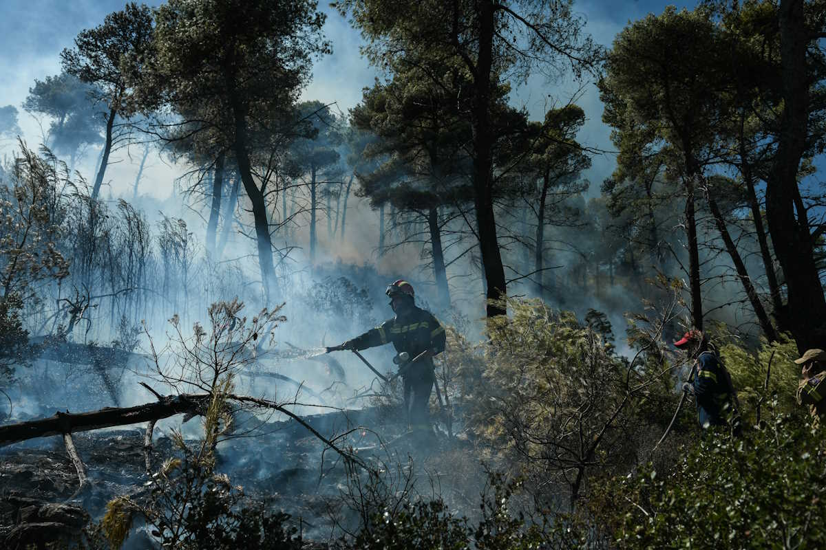 Πυρκαγιά στη Δημοτική Ενότητα Νέας Μάκρης, από Νέα Μάκρη προς Διόνυσο την Τετάρτη 9 Σεπτεμβρίου 2020.

Σύμφωνα με την Πυροσβεστική, η φωτιά ξέσπασε σε δασική έκταση (καίει αναγεννημένο πευκοδάσος) και άμεσα κινητοποιήθηκαν 31 πυροσβέστες με 2 ομάδες πεζοπόρων τμημάτων, 8 οχήματα, 2 αεροσκάφη και 3 ελικόπτερα, ενώ συνδράμουν εθελοντές πυροσβέστες και υδροφόρες ΟΤΑ. 
(EUROKINISSI