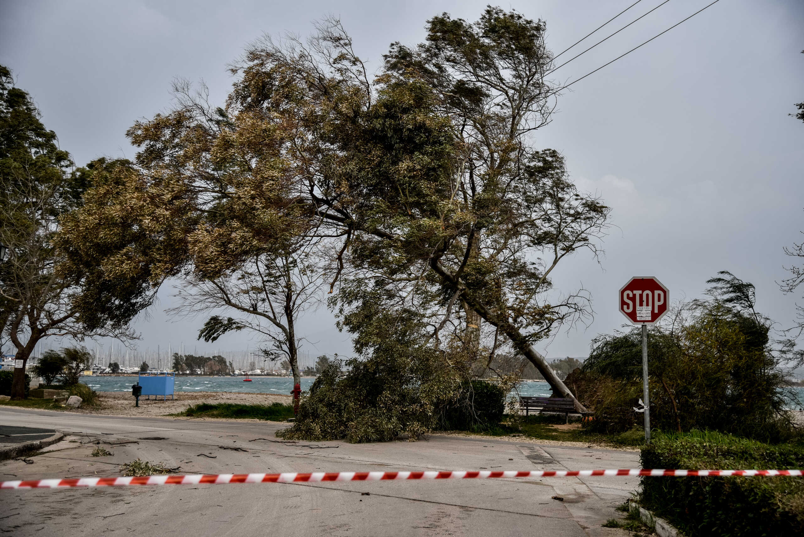 Δυνατοί άνεμοι προκάλεσαν ζημιές στην Πρέβεζα. Πέμπτη 31 Μαρτίου 2022 (ΓΙΩΡΓΟΣ ΕΥΣΤΑΘΙΟΥ