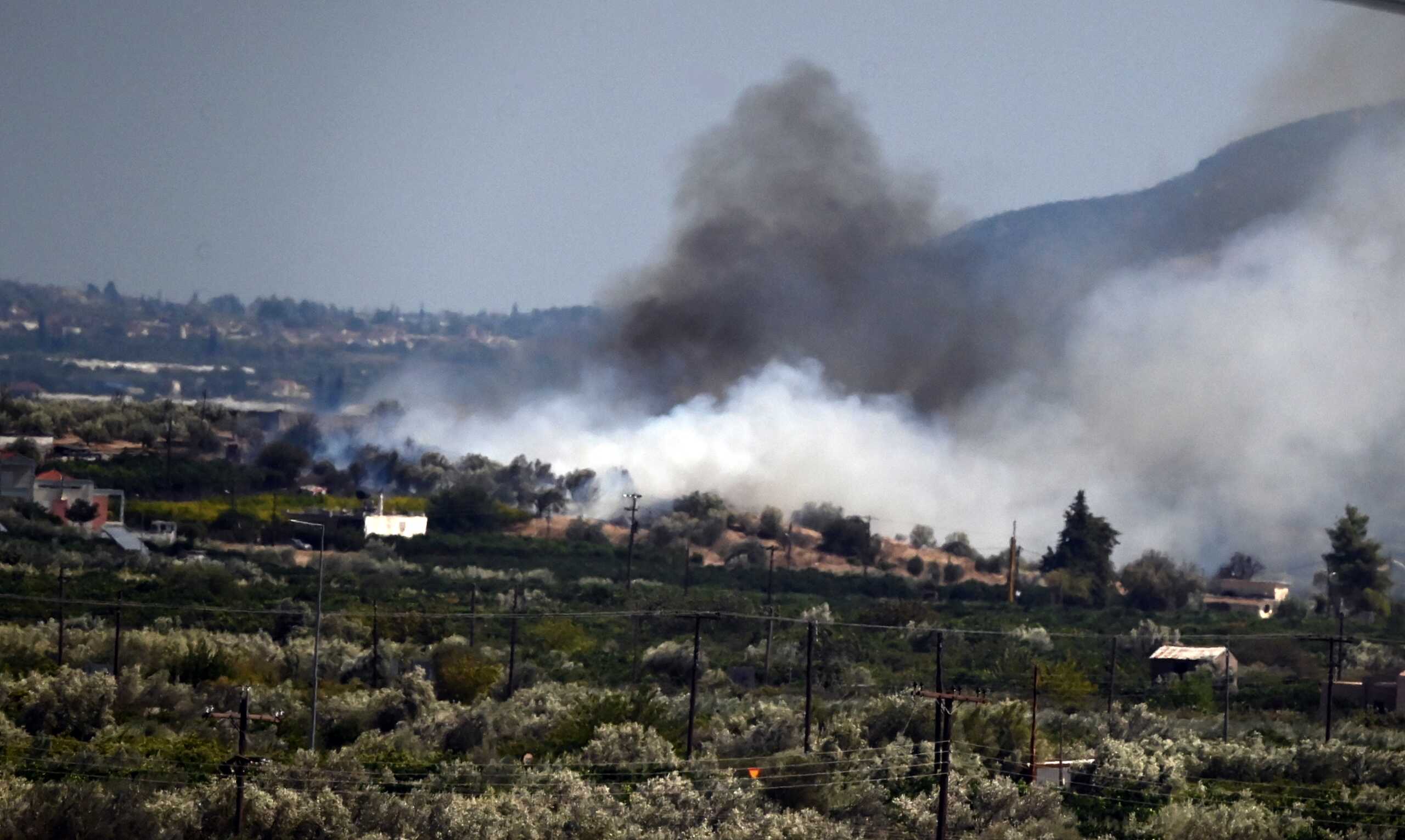 ΑΡΓΟΣ - Φωτιά εκδηλώθηκε το μεσημέρι της Πέμπτης 15 Αυγούστου σε γεωργική έκταση, κοντά σε κατοικημένη περιοχή,  στο Μοναστηράκι Αργολίδας.
Στο σημείο έσπευσαν 6 οχήματα της Πυροσβεστικής Υπηρεσίας Άργους και Ναυπλίου με 18 πυροσβέστες. (ΒΑΣΙΛΗΣ ΠΑΠΑΔΟΠΟΥΛΟΣ