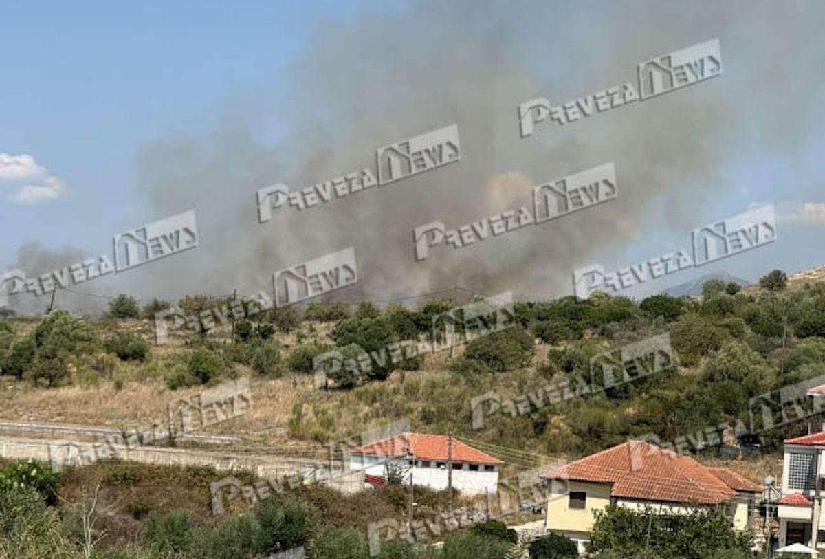 Φωτιά στην Πρέβεζα κοντά στον οικισμό Μεσοποτάμου: Επιχειρούν δασοκομάντος και 5 αεροσκάφη