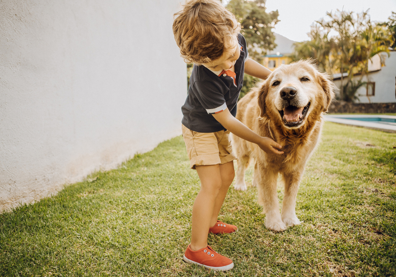 Little boy playing with a dog