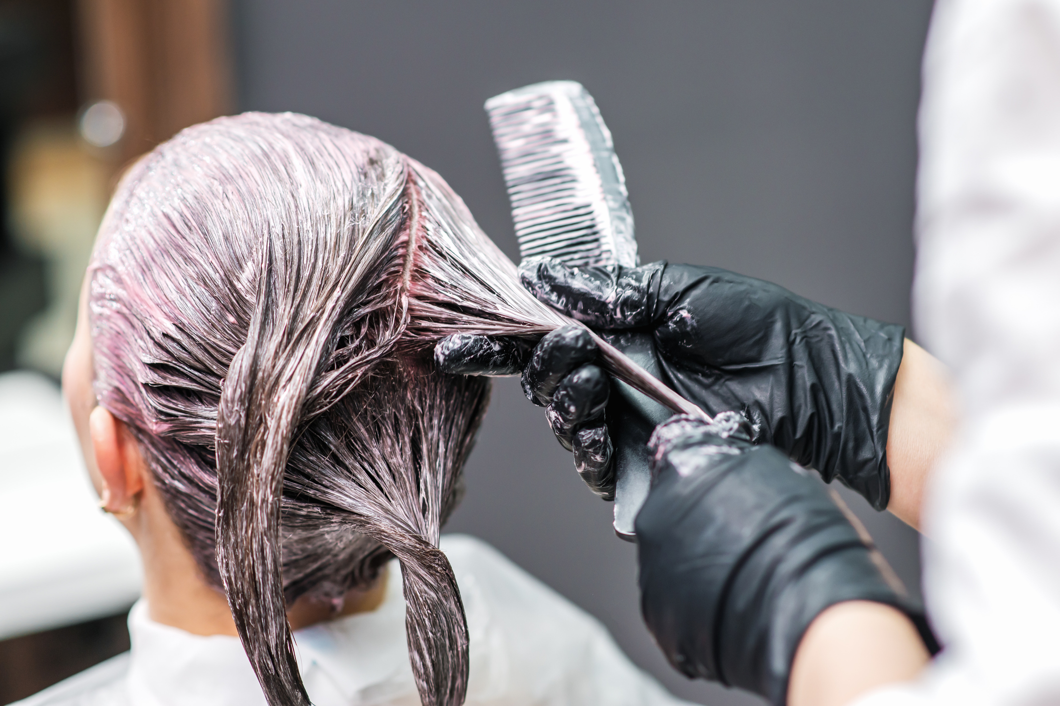 Close up back view of hairdresser is applying color to customer's hair in black gloves. Hair coloring in a beauty salon. Beauty and people concept.