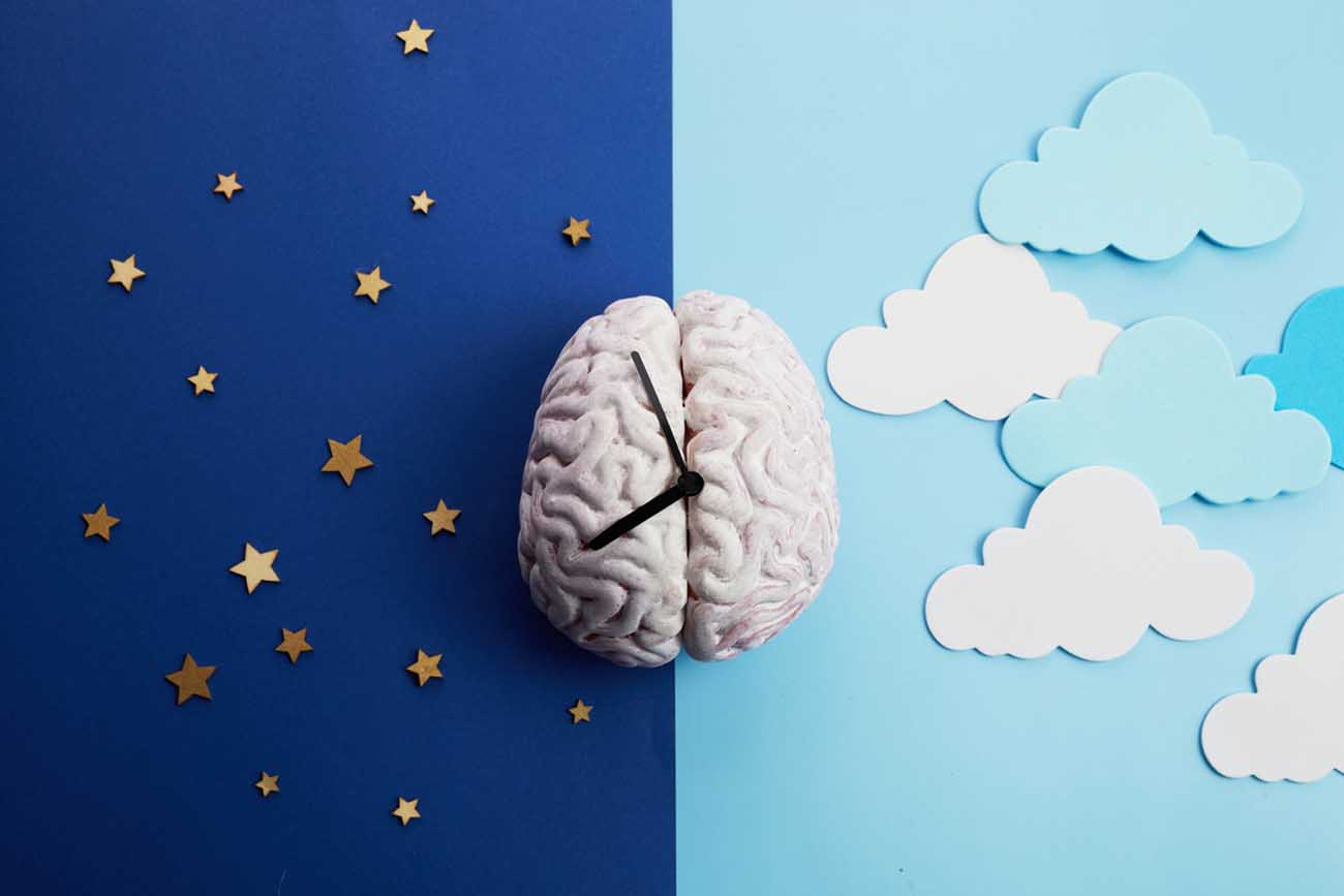 The circadian rhythms are controlled by circadian clocks or biological clock.