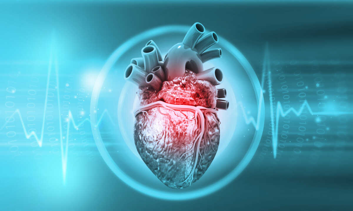 Human heart anatomy with ecg background. 3d illustration