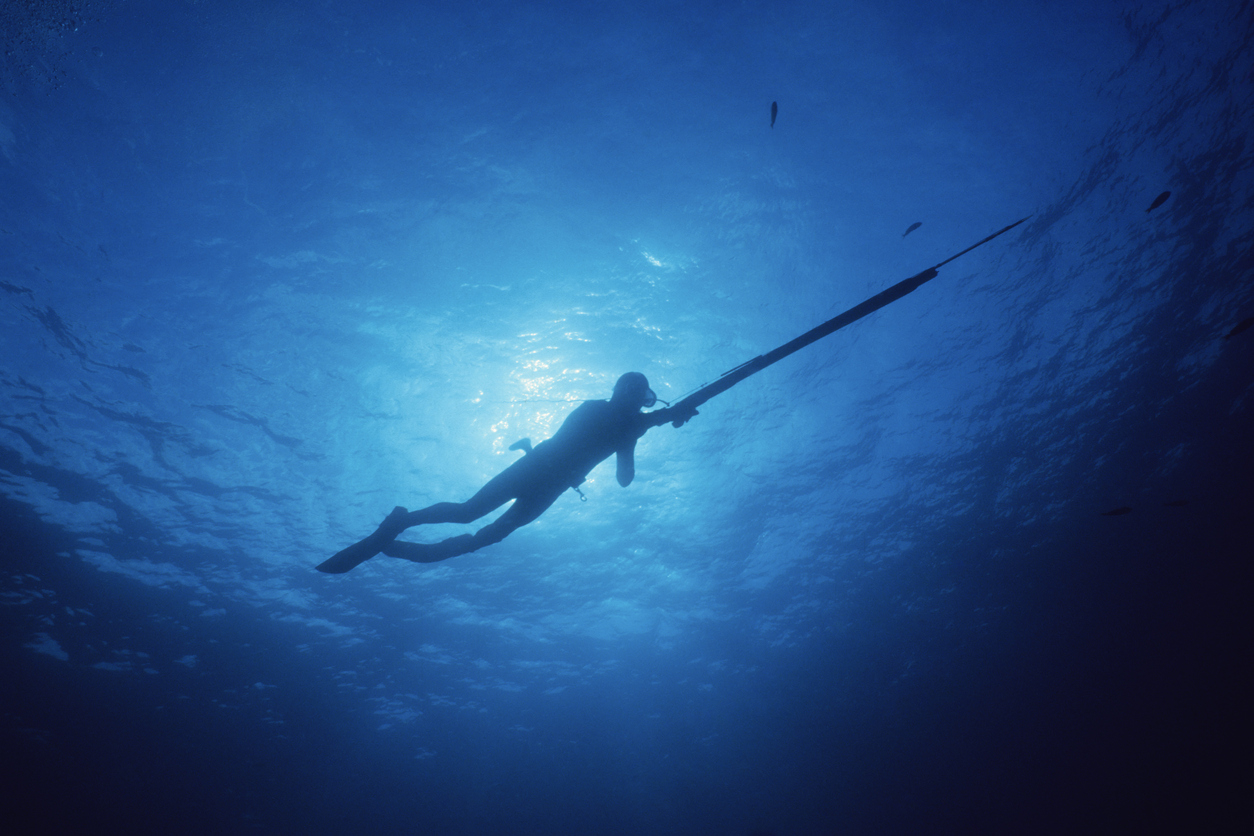 Silhouette of free diver with spear gun.