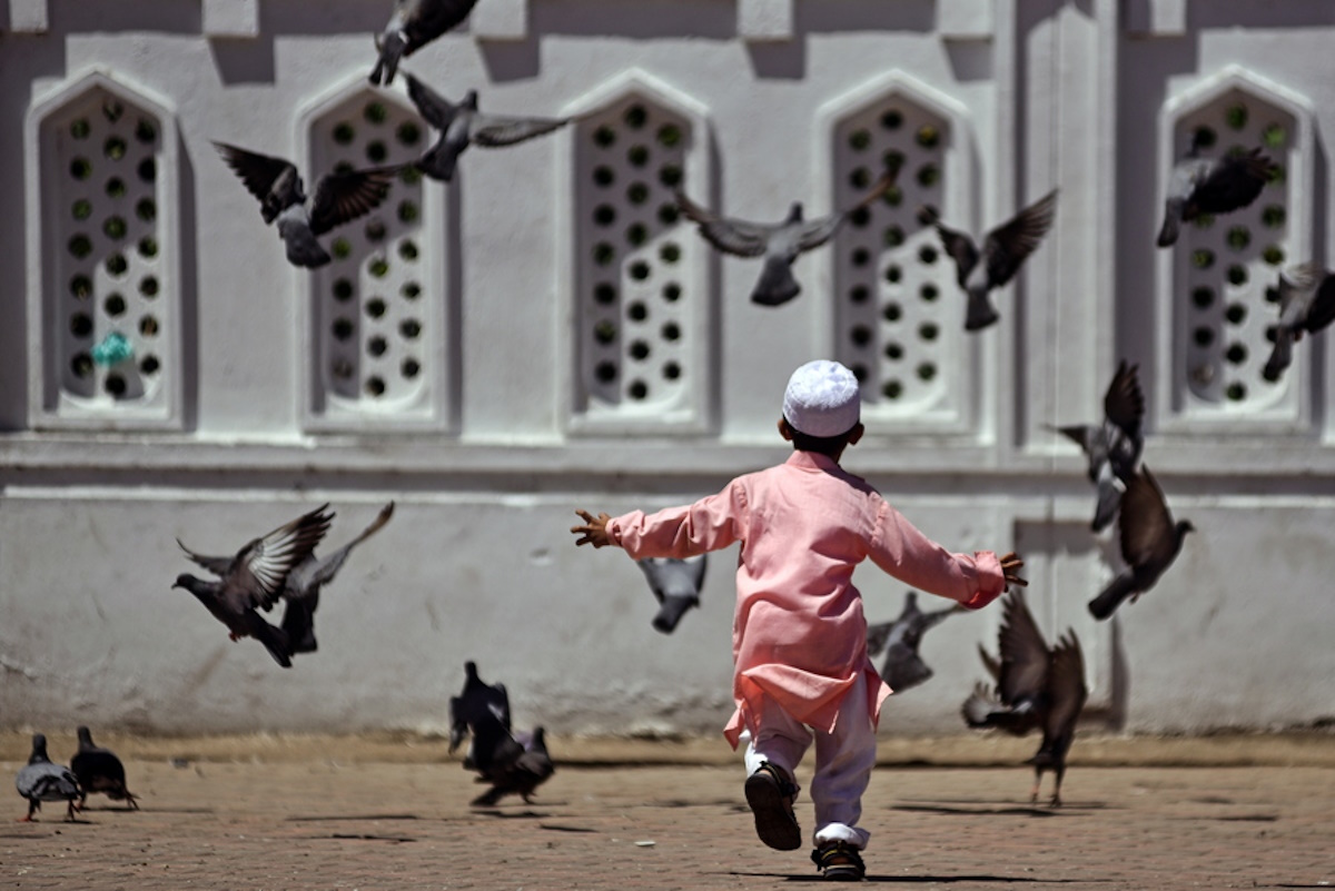 epaselect epa10716794 A Muslim boy plays with the pigeons after offering prayers on the occasion of Eid Al-Adha, at Walajah Mosque in Chennai, India, 29 June 2023. Eid Al-Adha, or the Feast of Sacrifice, is one of the two holiest Muslim holidays celebrated each year. It marks the yearly Muslim pilgrimage (Hajj) to visit Mecca, the holiest place in Islam. Muslims slaughter a sacrificial animal and split the meat into three parts, one for the family, one for friends and relatives, and one for the poor and needy.  EPA