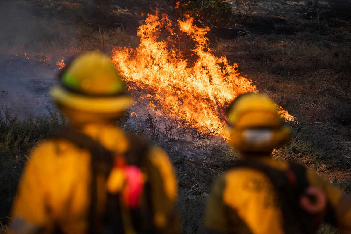 Cal Fire firefighters tackle the Bridge Fire threatening mountain communities to the northeast of Los Angeles, in Wrightwood, California, U.S. September 11, 2024. REUTERS