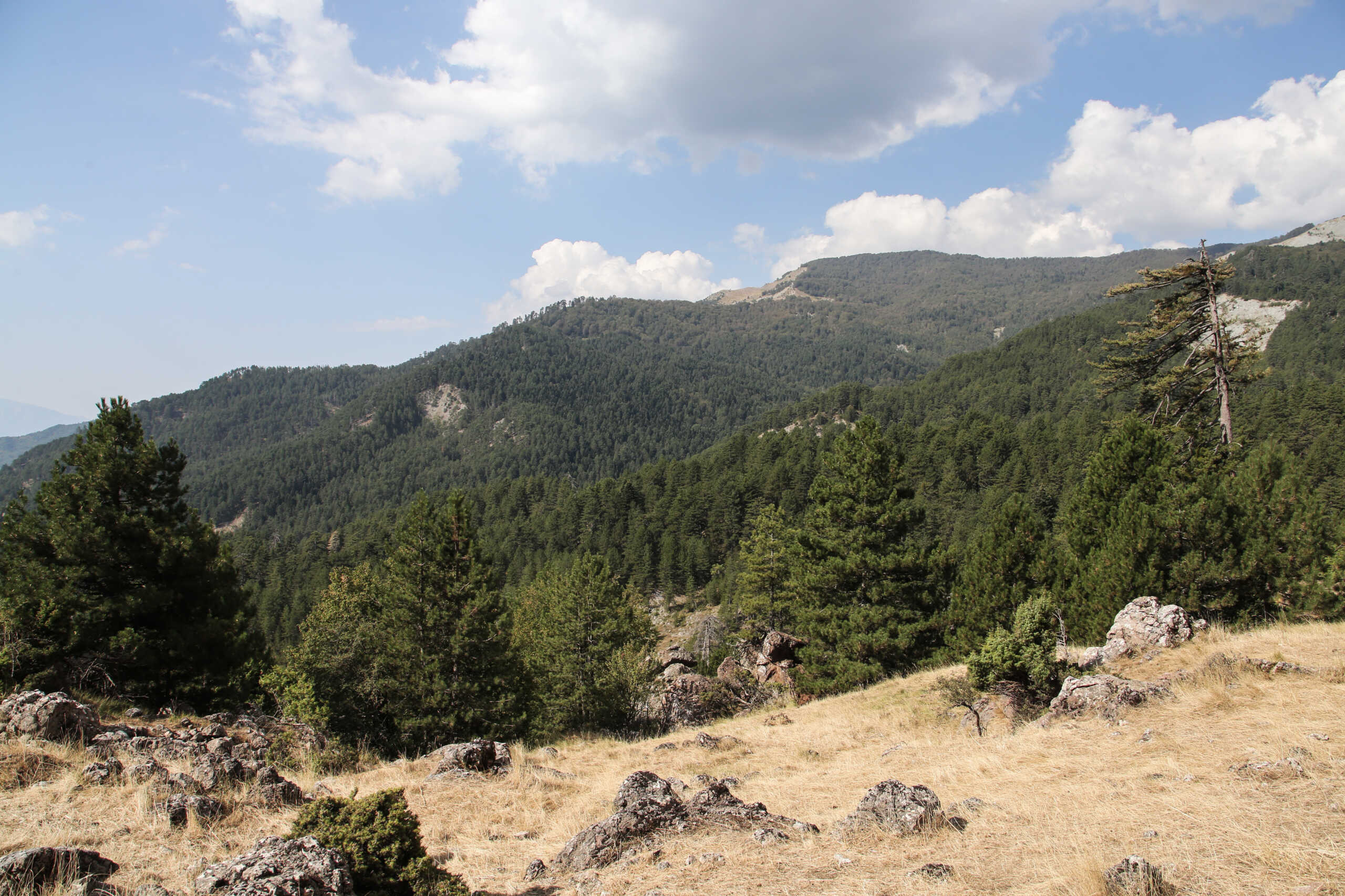 Στιγμιότυπο από το όρος Γράμμος. Ο Γράμμος συνιστά τον κύριο ορεινό συνδετικό κρίκο ανάμεσα στην Πίνδο και τα βουνά της Βόρειας Ελλάδας, ενώ ταυτόχρονα σχηματίζει την οριογραμμή με την Αλβανία. Είναι το τέταρτο υψηλότερο βουνό της Ελλάδας μετά τον Όλυμπο, τον Σμόλικα και τον Βόρα, με την υψηλότερη κορυφή του Τσούκα Πέτσικ να φτάνει σε υψόμετρο 2.520 μέτρων.  
(EUROKINISSI)