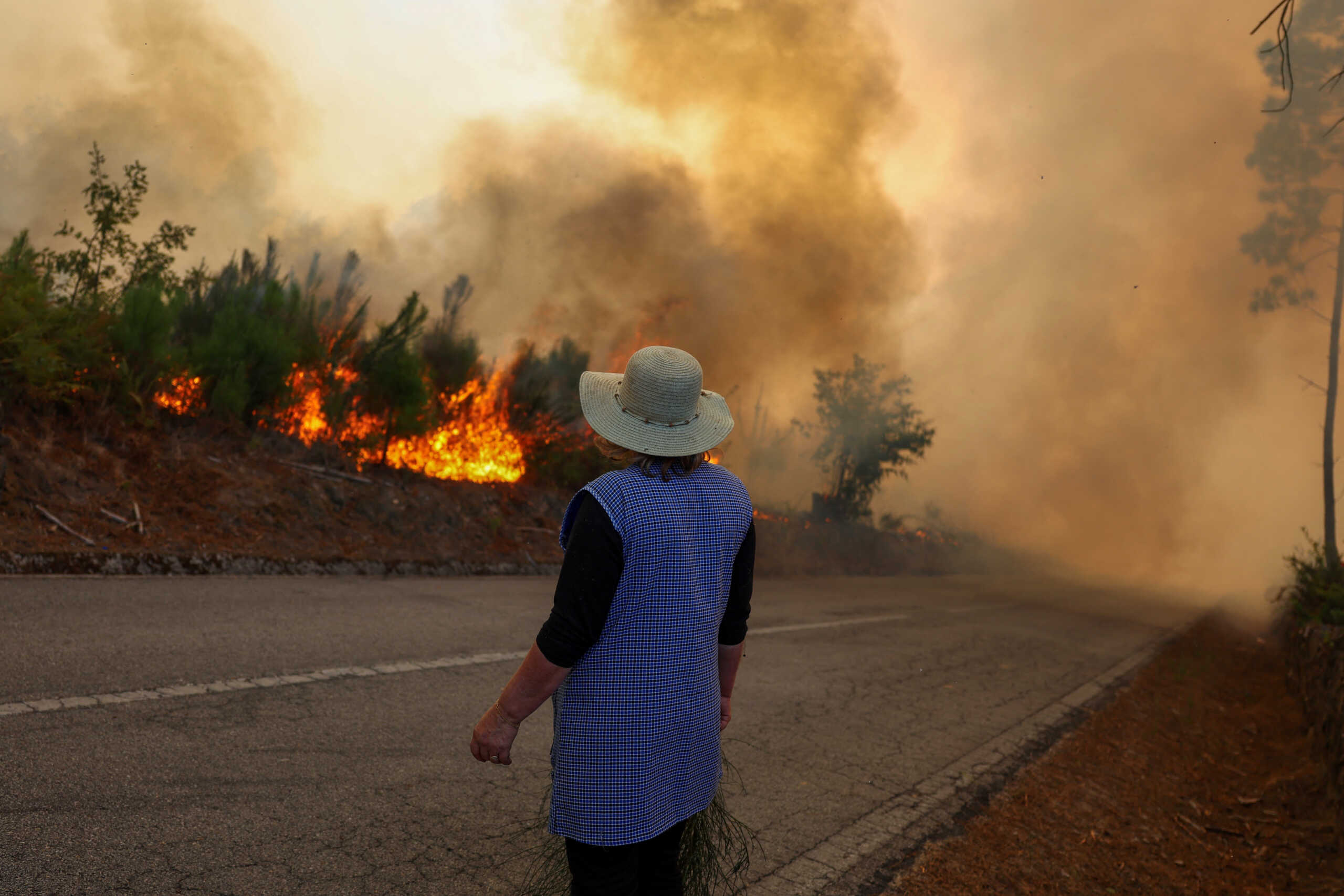 A woman stares at a wildfire in Penalva do Castelo, Portugal, September 16, 2024. REUTERS