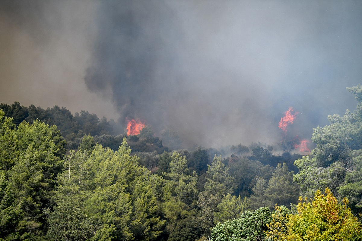 ΠΥΡΚΑΓΙΑ ΣΕ ΔΑΣΙΚΗ ΕΚΤΑΣΗ ΣΤΗ ΠΕΡΙΟΧΗ ΓΕΡΑΚΙ ΑΜΑΛΙΑΔΑΣ ΣΤΗΝ ΗΛΕΙΑ  Παρασκευή 4 Οκτωβρίου 2024 (ΓΙΑΝΝΗΣ ΣΠΥΡΟΥΝΗΣ