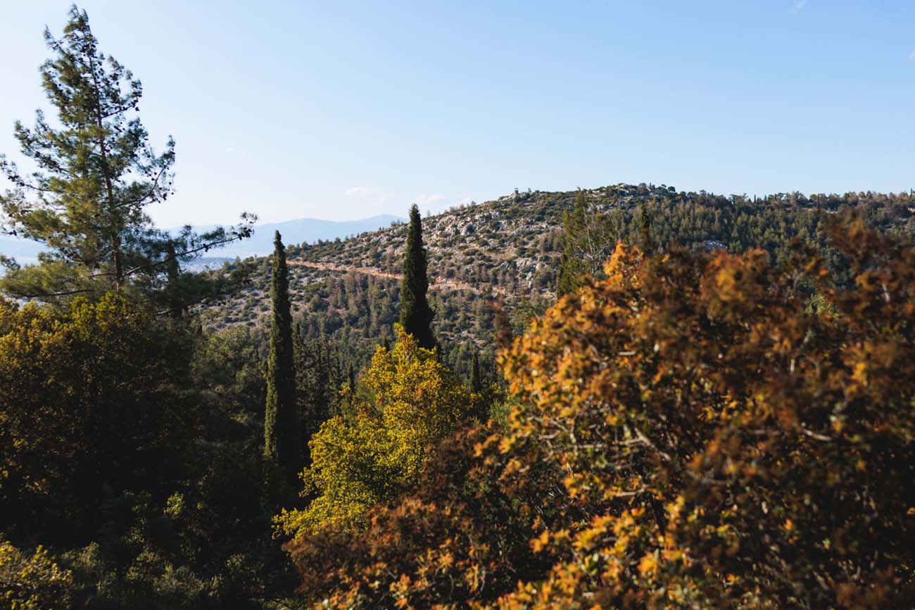 Hymettus mountain landscape, hiking in Athens, Hymettos mountain range panoramic beautiful view, Attica, Greece, in a summer sunny day, with Kaisariani aesthetic forest