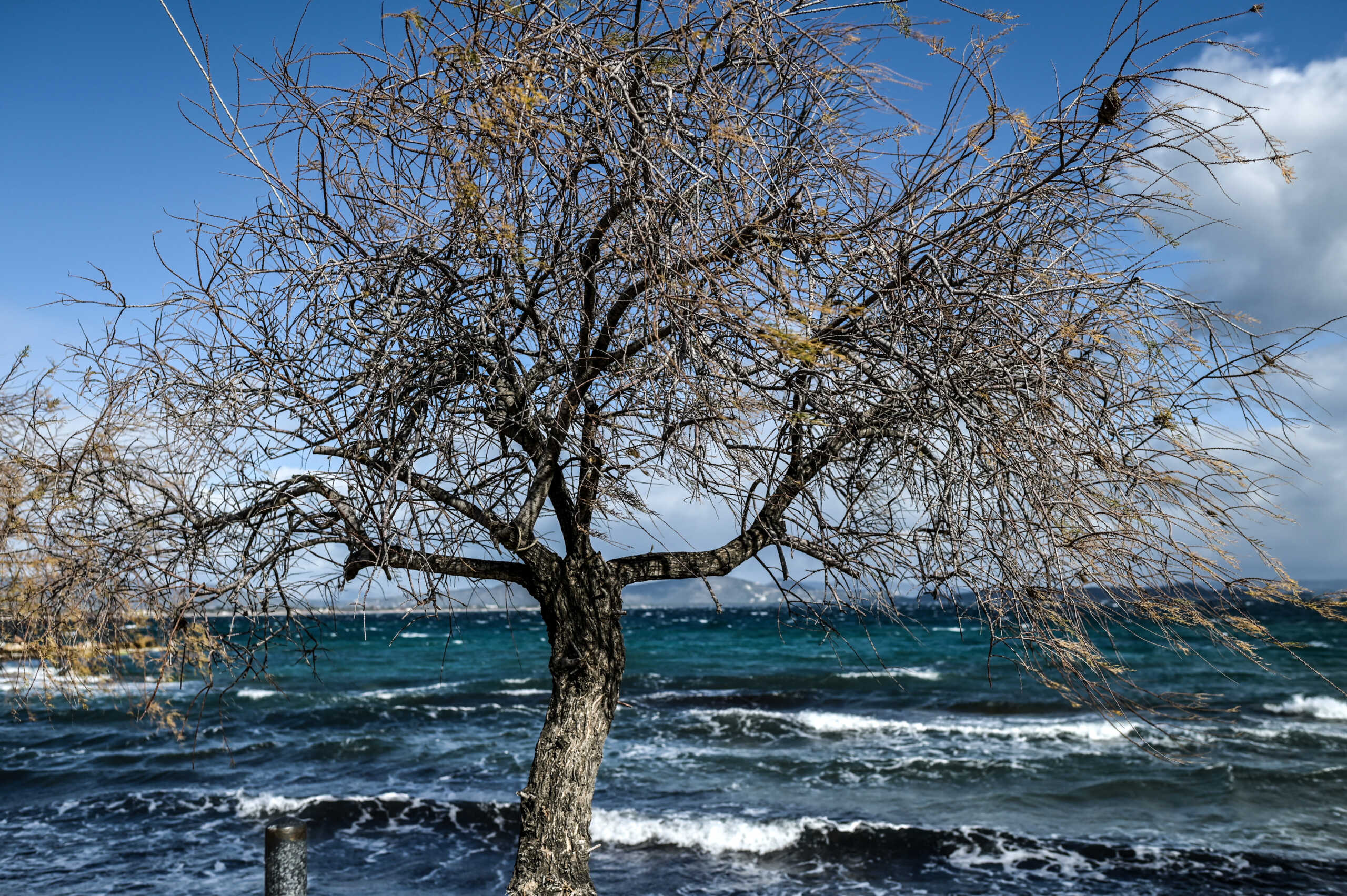 Στιγμιότυπο από την παραλία της Νέας Μάκρης, Τετάρτη 31 Μαρτίου 2024. Το κύμα κακοκαιρίας "Avgi" που απασχόλησε τη χώρα τα τελευταία 24ωρα φέρνοντας χιόνια και στον νομό Αττικής υποχώρησε αλλά το κρύο παραμένει. 
(ΜΙΧΑΛΗΣ ΚΑΡΑΓΙΑΝΝΗΣ