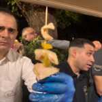 Πατσάς τώρα και σε σουβλάκι – Η τάση που τα «σπάει» στη Θεσσαλονίκη