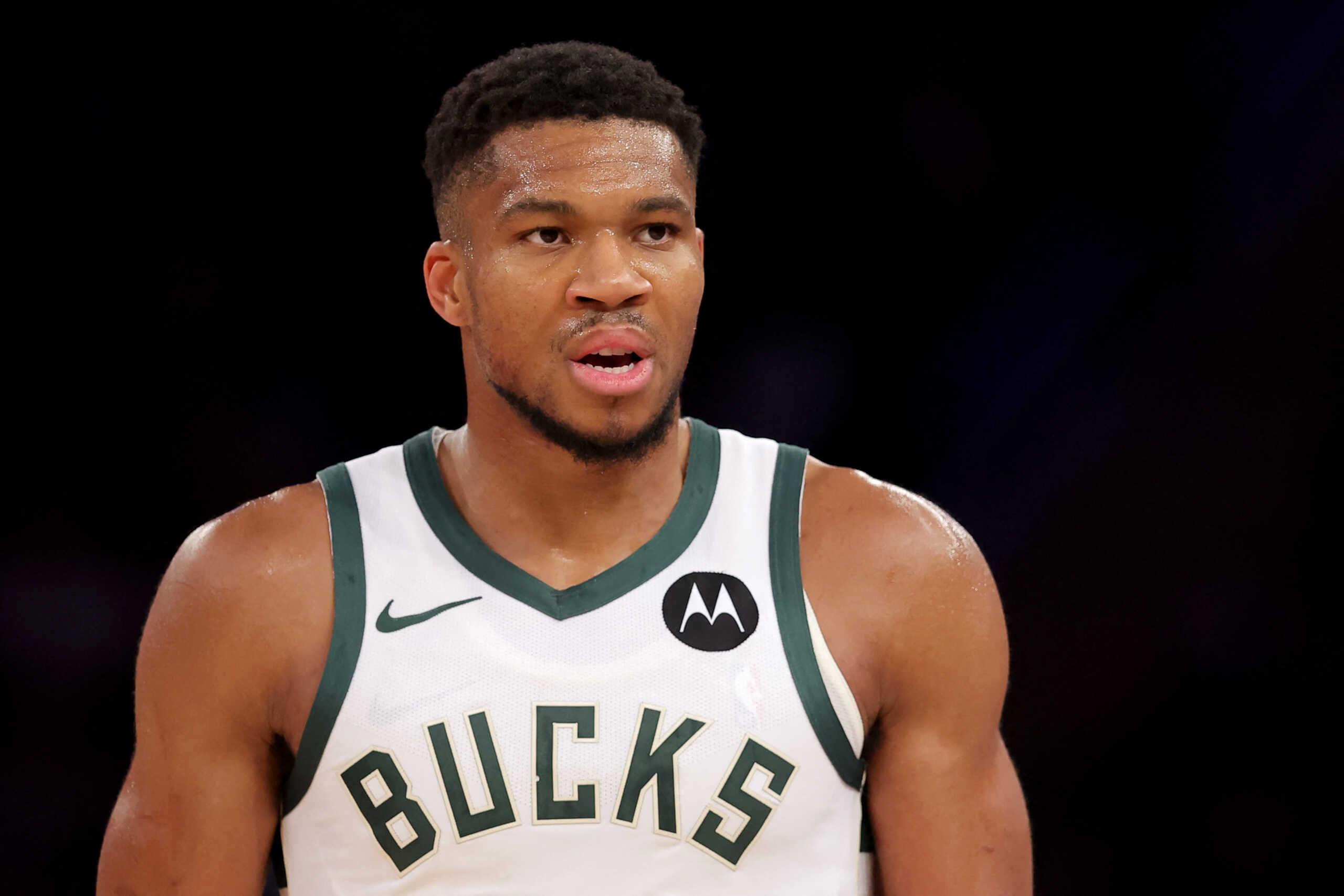 Nov 8, 2024; New York, New York, USA; Milwaukee Bucks forward Giannis Antetokounmpo (34) reacts during the third quarter against the New York Knicks at Madison Square Garden. Mandatory Credit: Brad Penner-Imagn Images