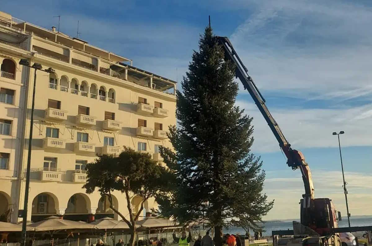 Θεσσαλονίκη: Έφτασε το χριστουγεννιάτικο δέντρο στην Αριστοτέλους – Θα φωταγωγηθεί 30 Νοεμβρίου στην πρεμιέρα του Μετρό