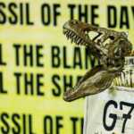 A dinosaur skull model is attached to a trophy cup during the "Fossil of The Day" action at the United Nations Climate Change Conference (COP29) in Baku, Azerbaijan November 15, 2024. REUTERS