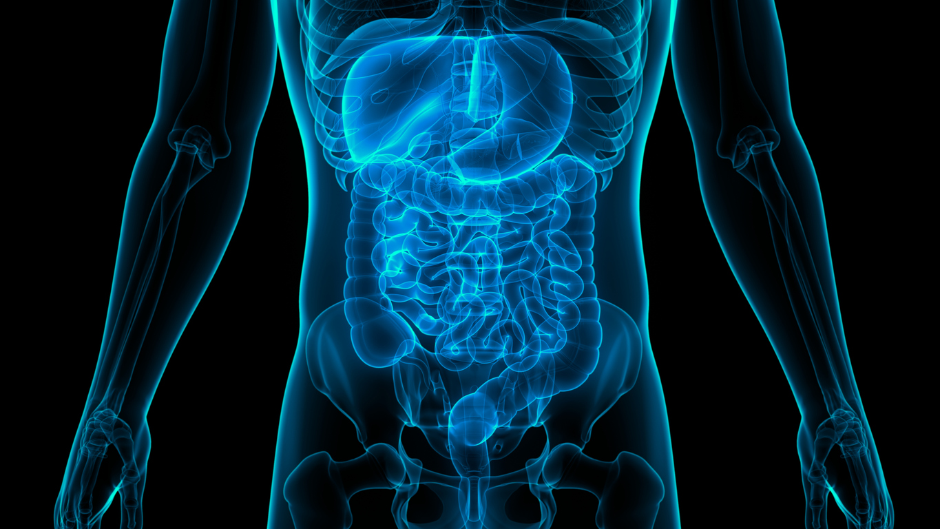 Gastroenterology and Artificial Intelligence (AI)