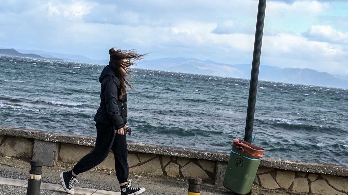 (ΜΙΧΑΛΗΣ ΚΑΡΑΓΙΑΝΝΗΣ