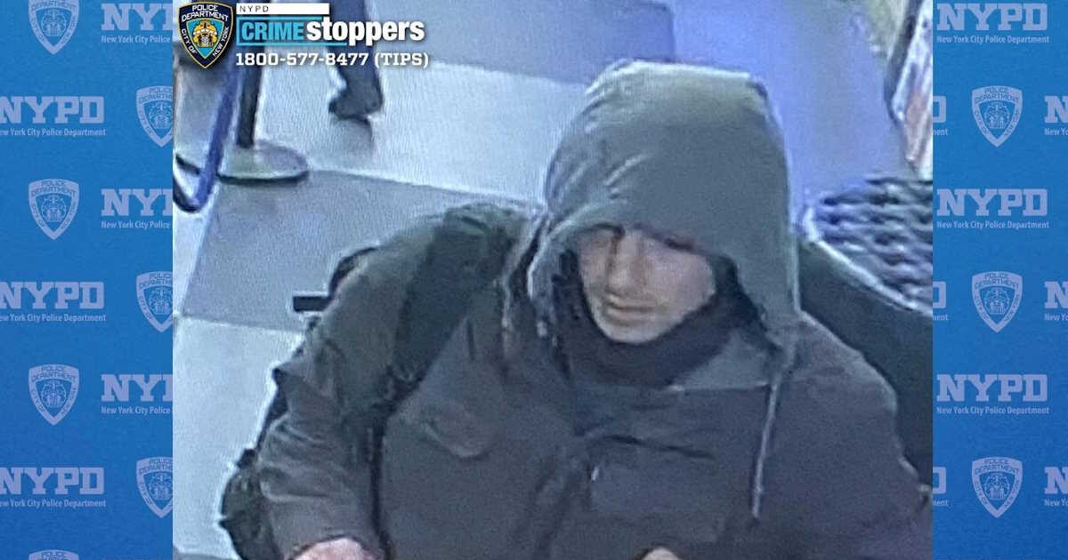 Anti-capitalist “Unabomber” follower arrested for execution of United Healthcare CEO