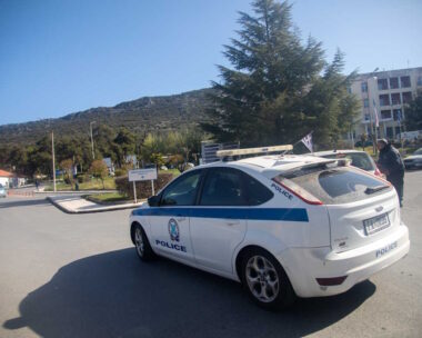 ΦΩΤΟ αρχείου (ΒΑΣΙΛΗΣ ΒΕΡΒΕΡΙΔΗΣ