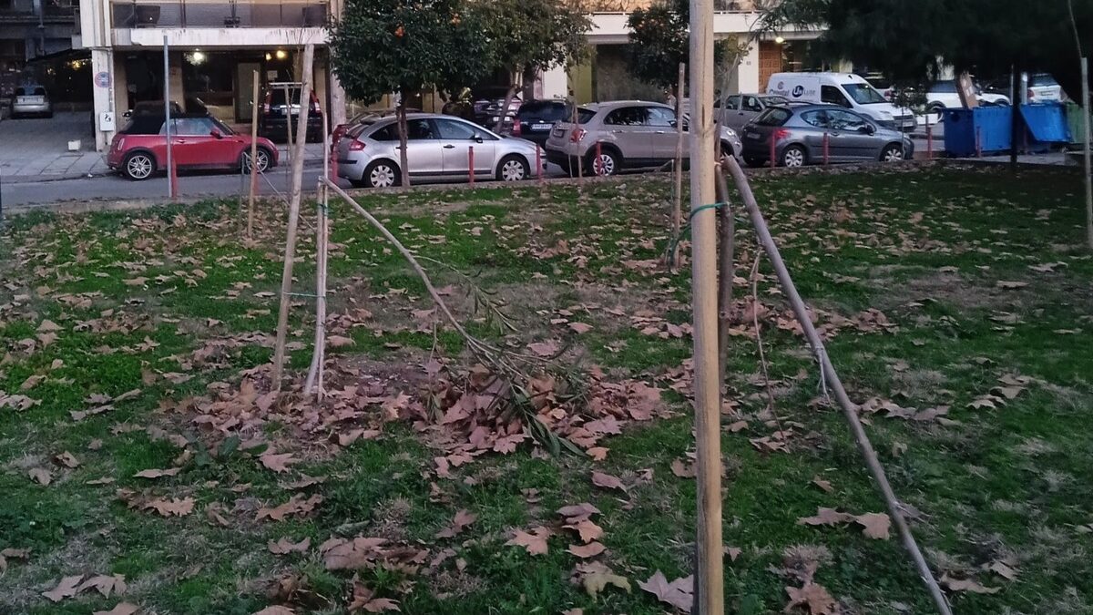 thestival.gr