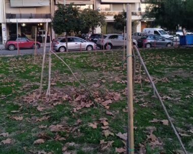 thestival.gr
