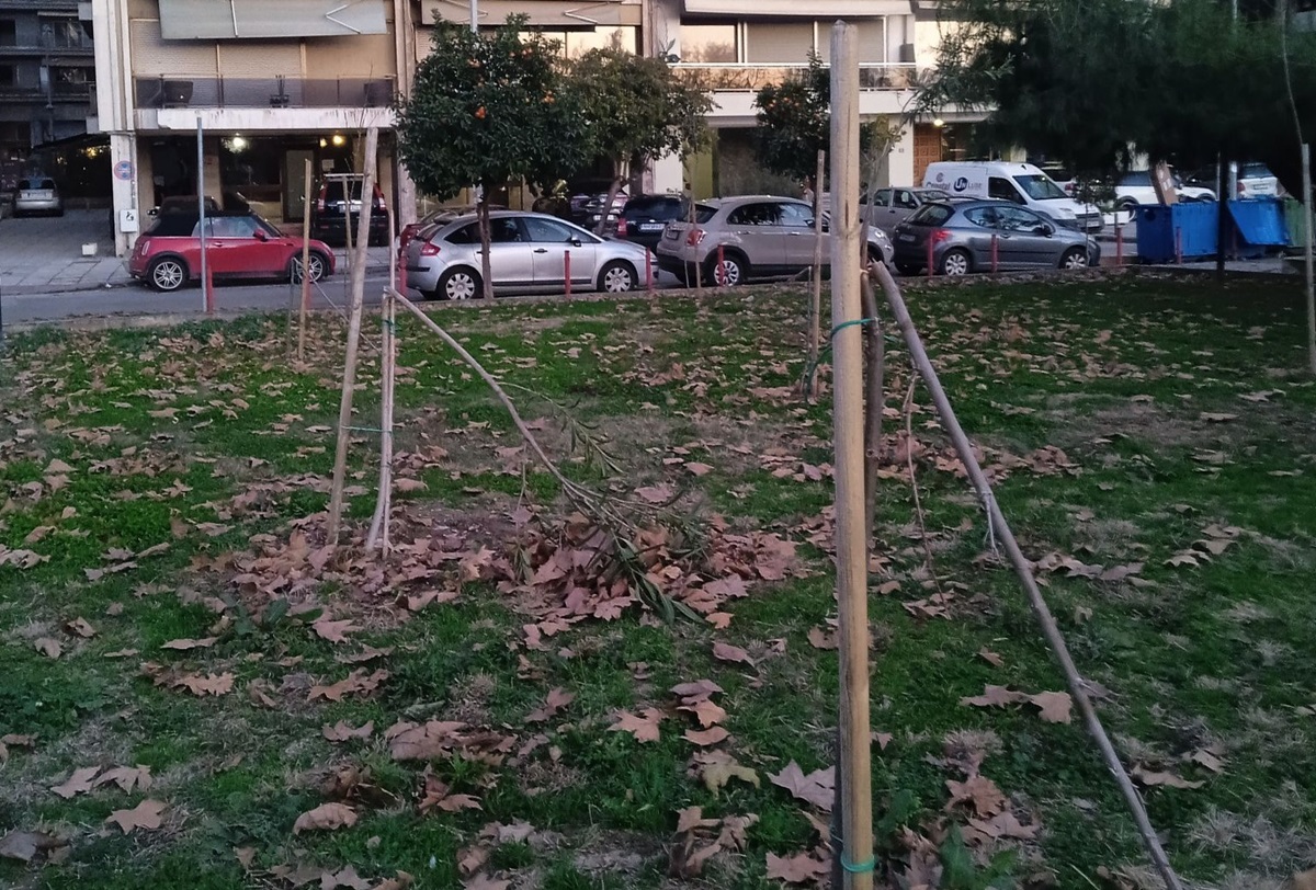 thestival.gr