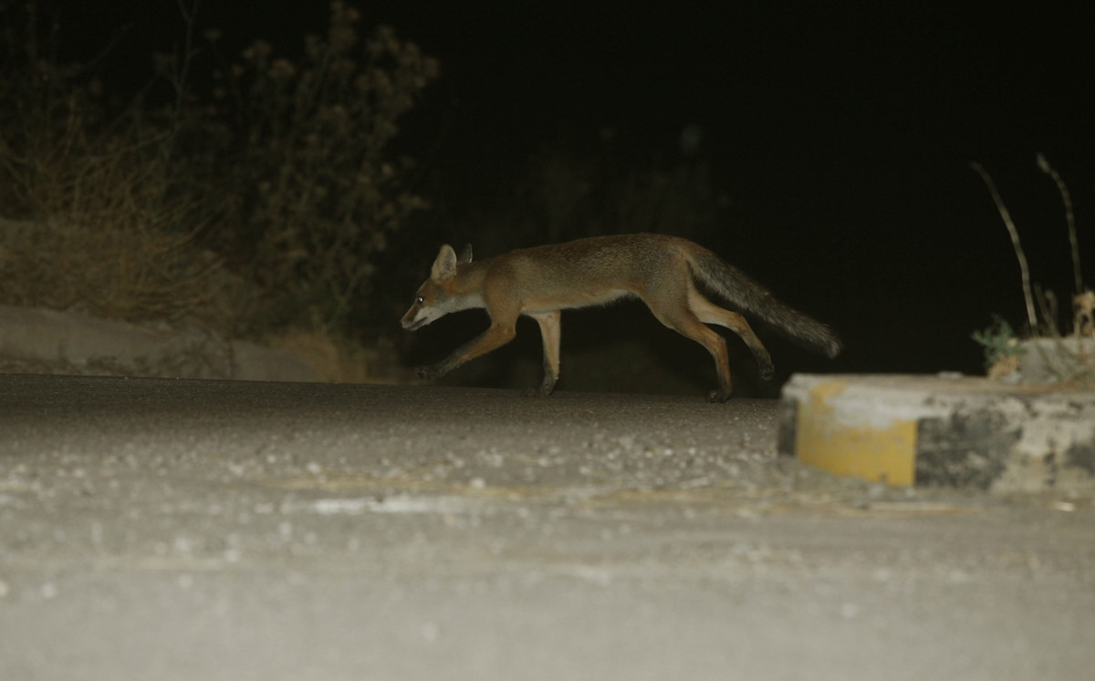 ΦΩΤΟΓΡΑΦΙΑ ΑΡΧΕΙΟΥ